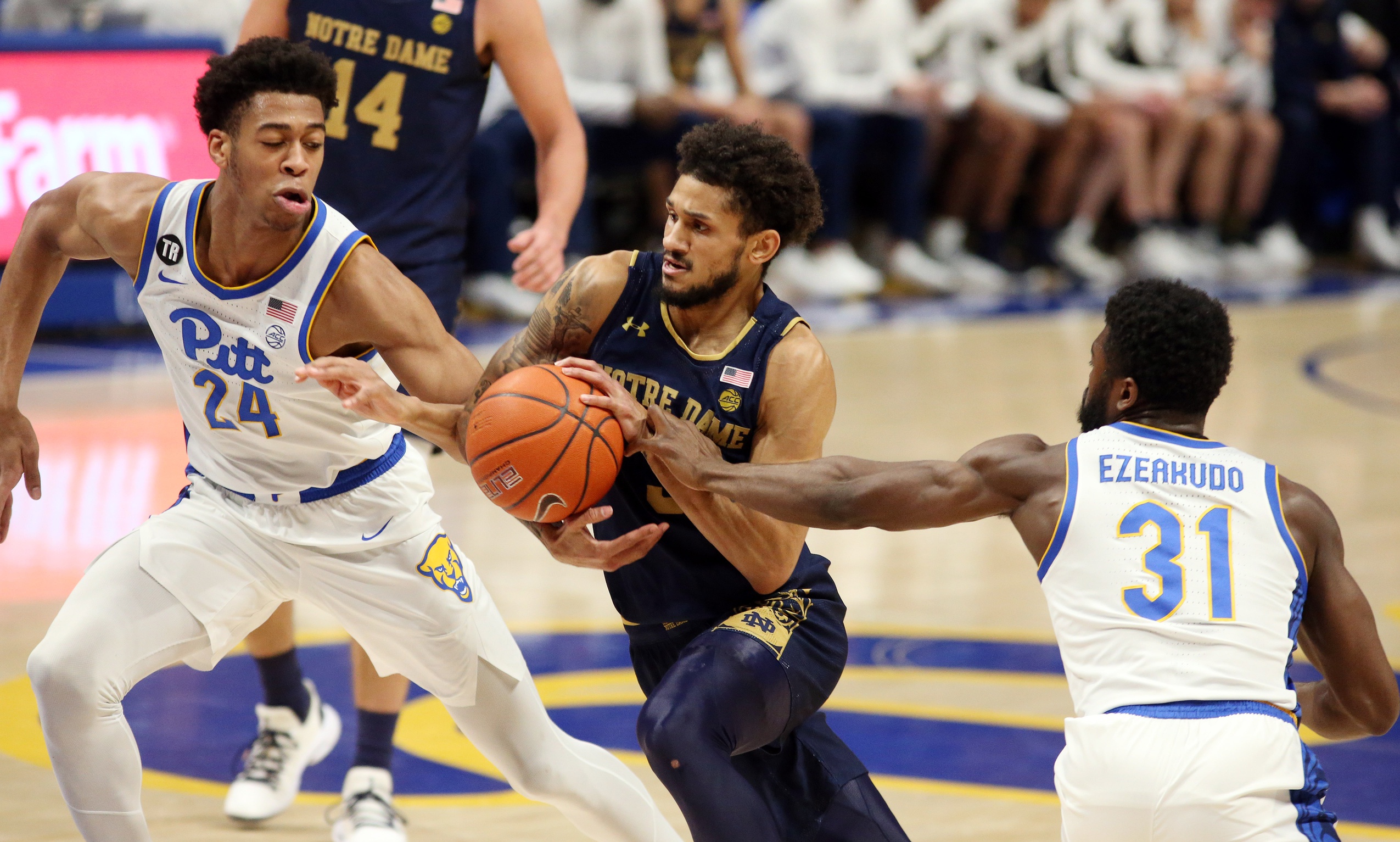college basketball picks Prentiss Hubb Notre Dame Fighting Irish predictions best bet odds