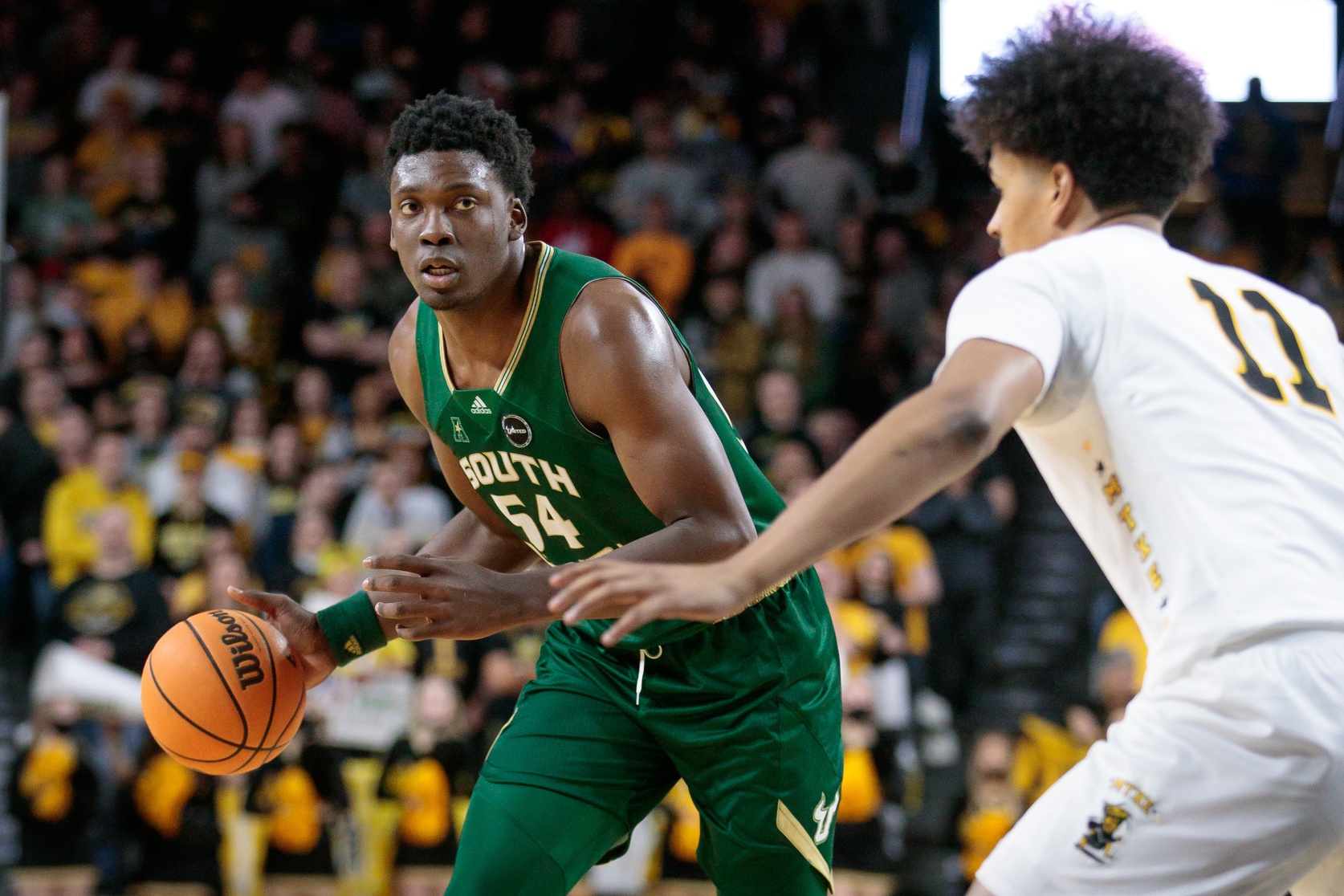 college basketball picks Russel Tchewa USF Bulls predictions best bet odds