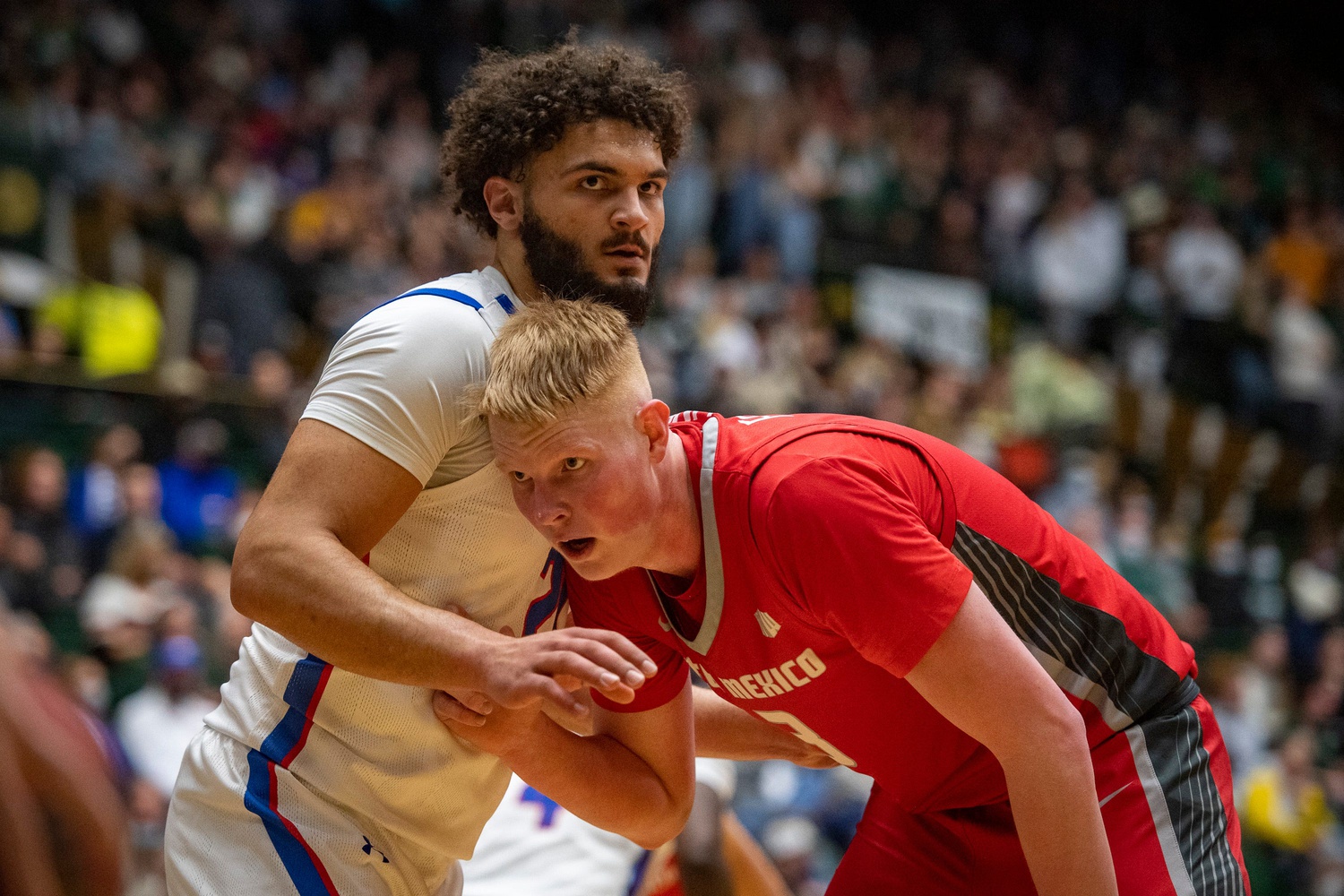 college basketball picks Sebastian Forsling New Mexico Lobos predictions best bet odds