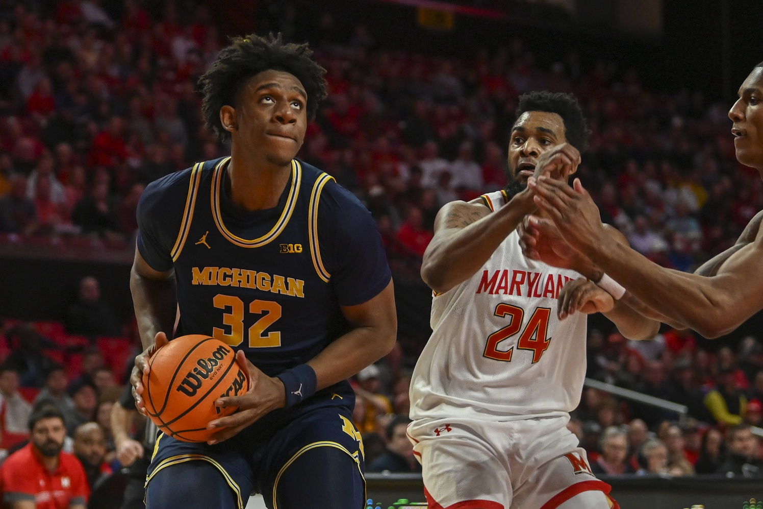 college basketball picks Tarris Reed Michigan Wolverines predictions best bet odds