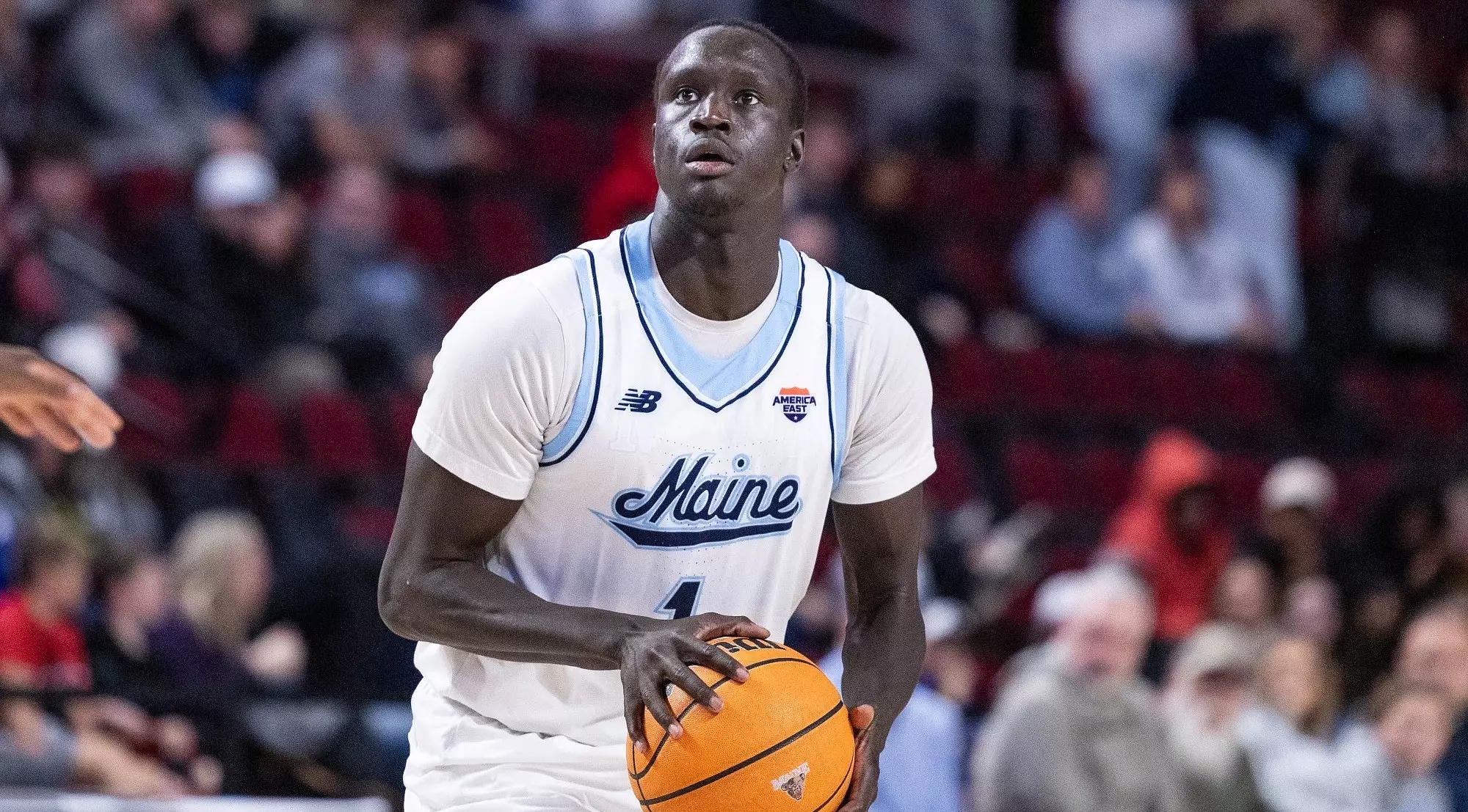 college basketball picks TJ Biel Maine Black Bears predictions best bet odds