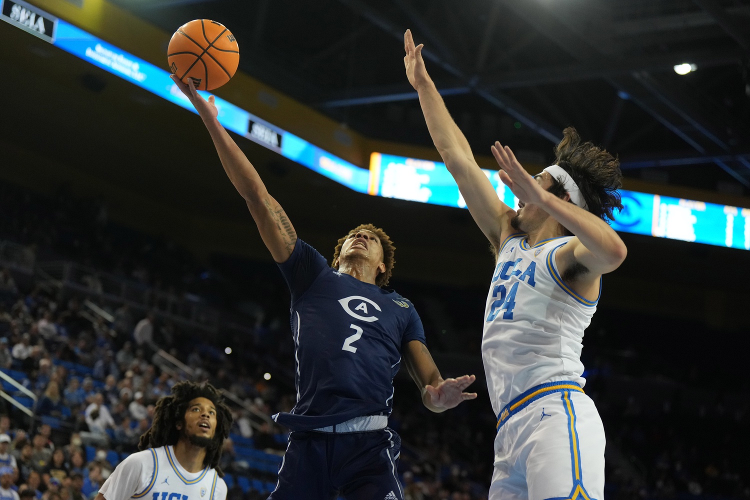 college basketball picks Ty Johnson UC Davis Aggies predictions best bet odds