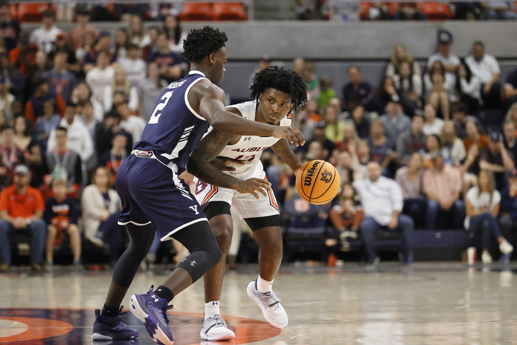 college basketball picks Zep Jasper Auburn predictions best bet odds