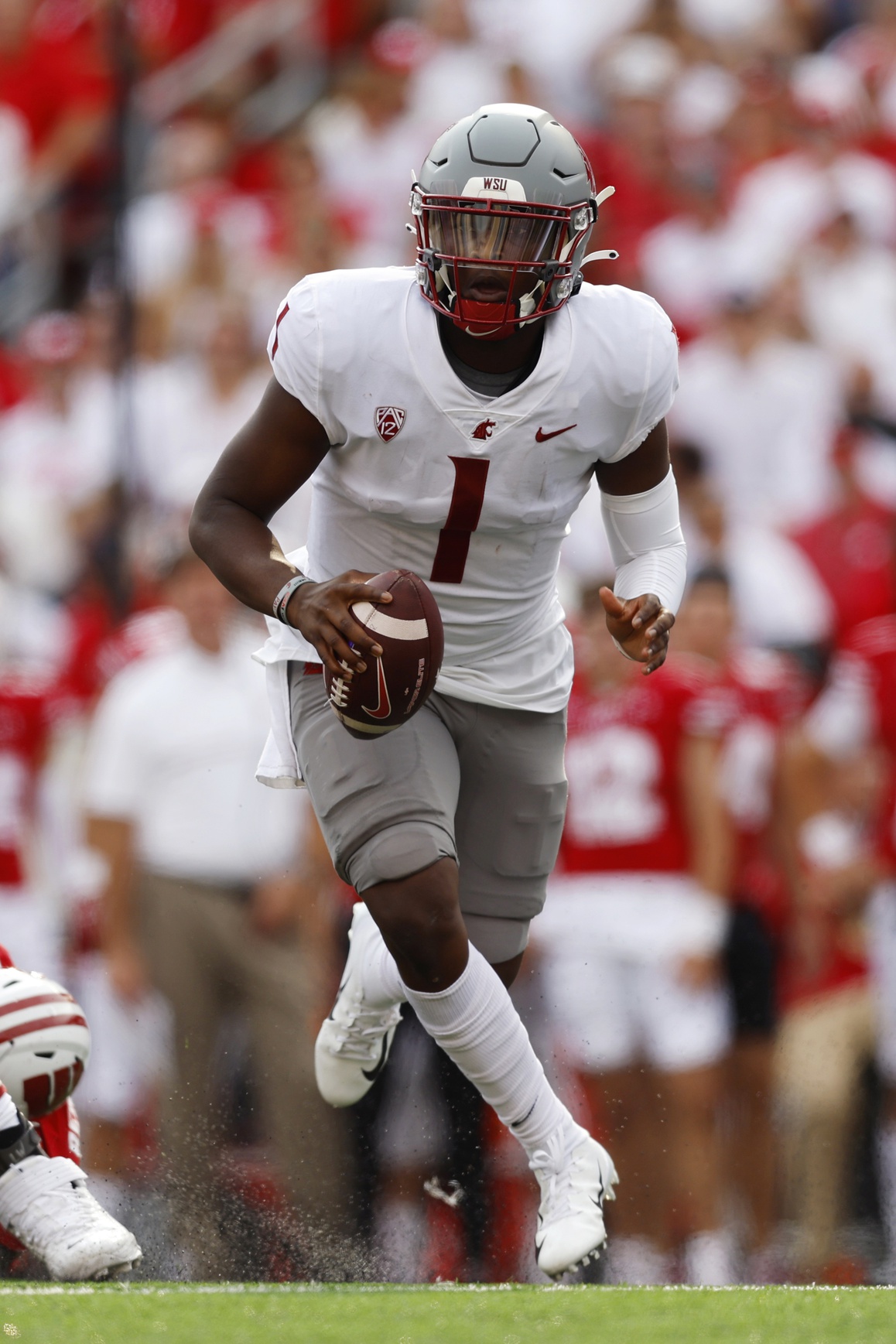 college football picks Cameron Ward washington state cougars predictions best bet odds
