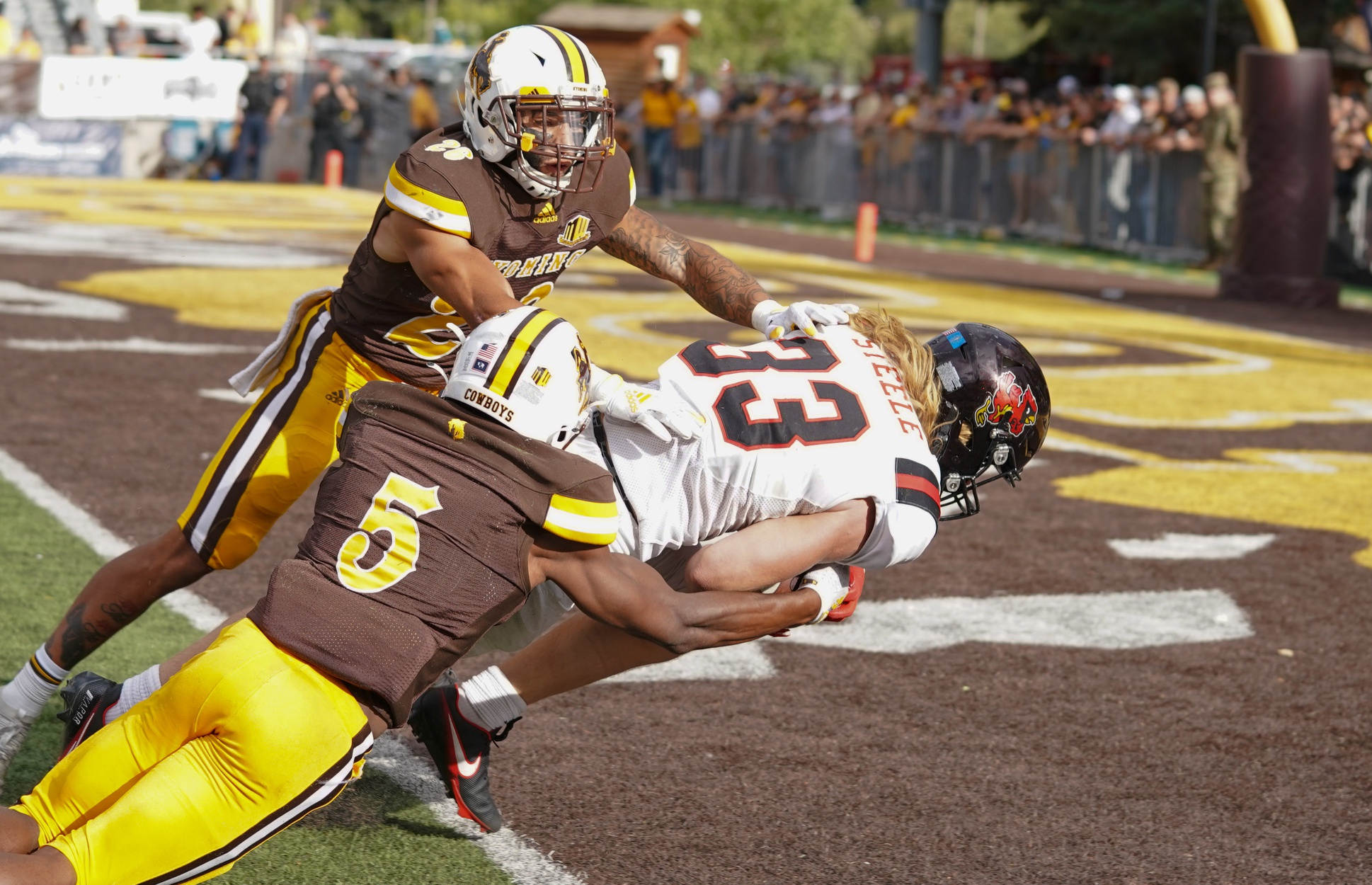 college football picks Carson Steele ball state cardinals predictions best bet odds