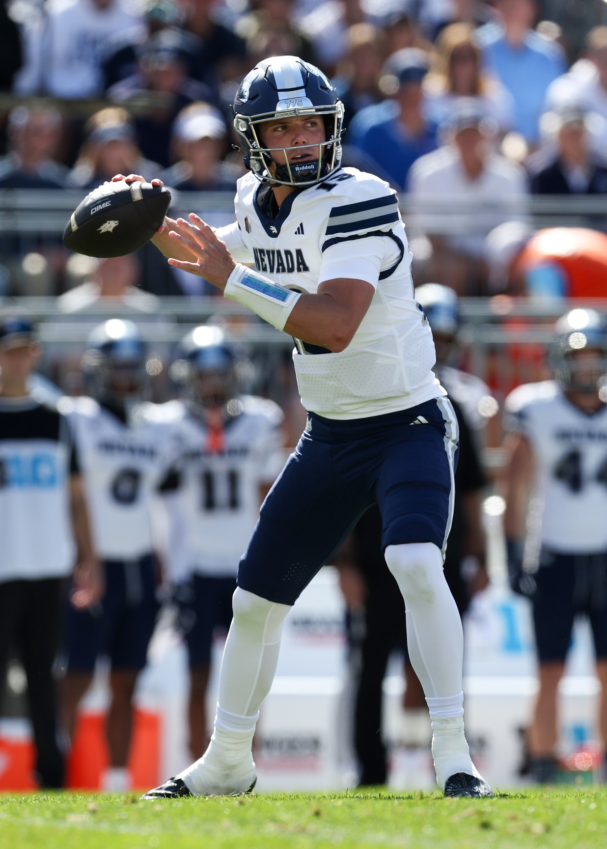 college football picks Chubba Purdy Nevada Wolf Pack predictions best bet odds