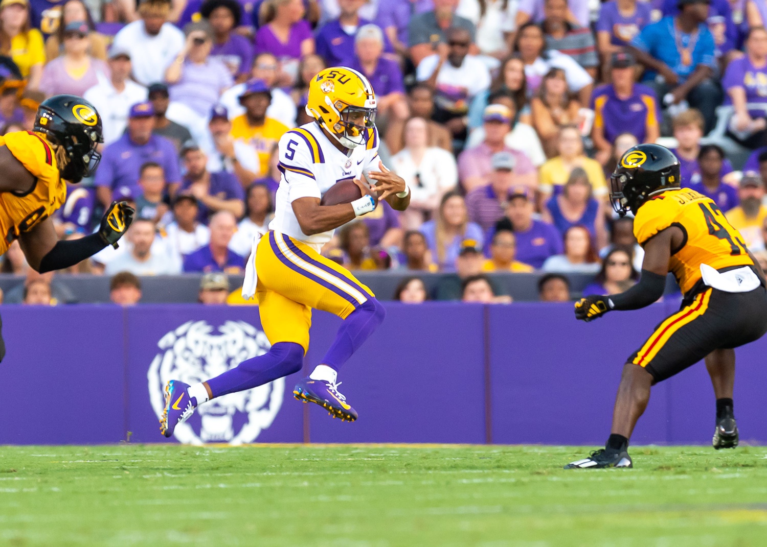 college football picks Jayden Daniels LSU Tigers predictions best bet odds
