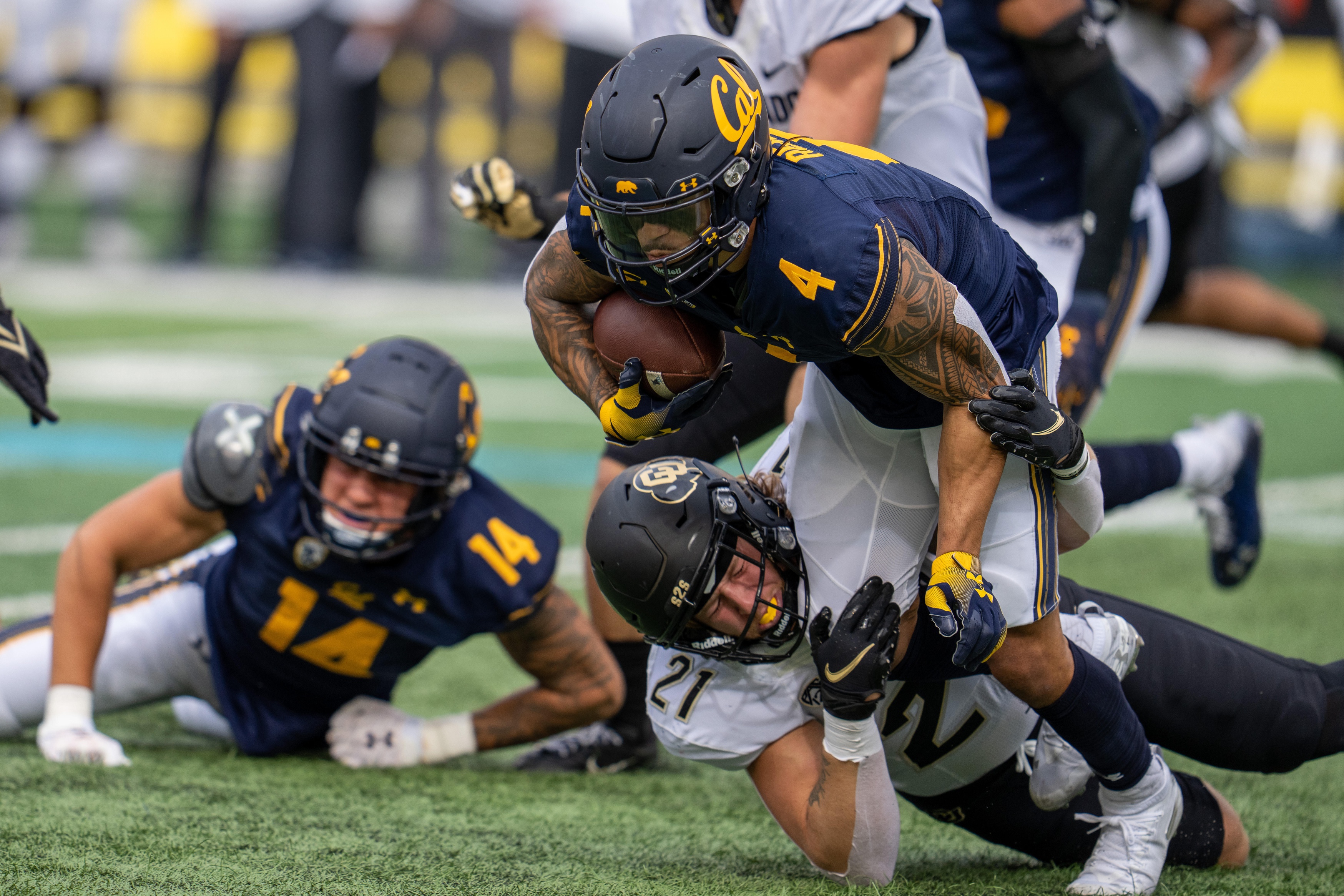 college football picks Nikko Remigio california golden bears predictions best bet odds