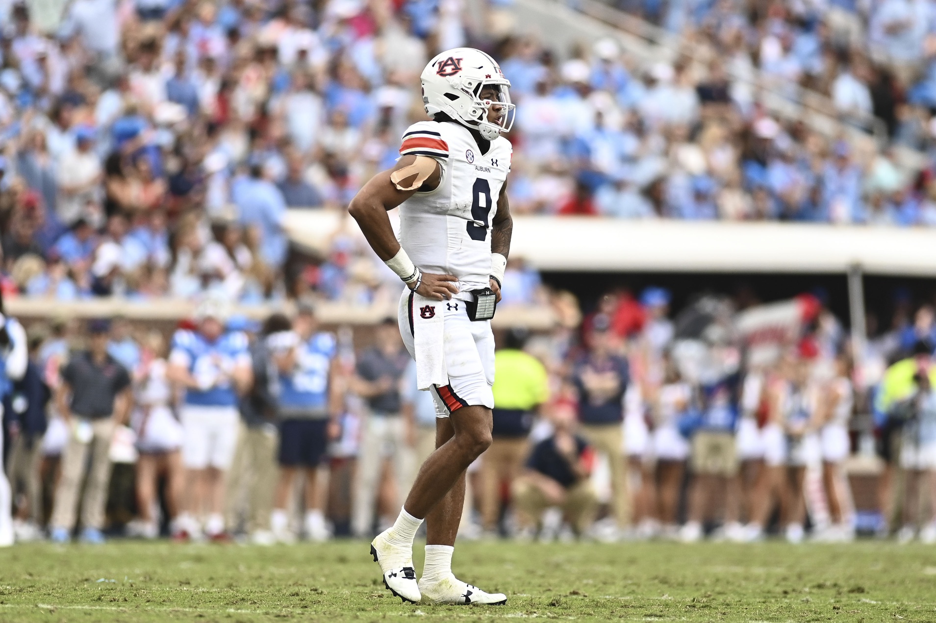 college football picks Robby Ashford auburn tigers predictions best bet odds