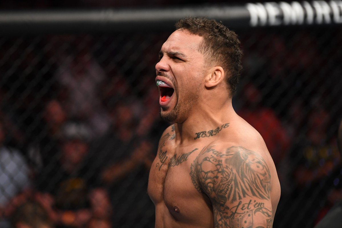 eryk anders ufc