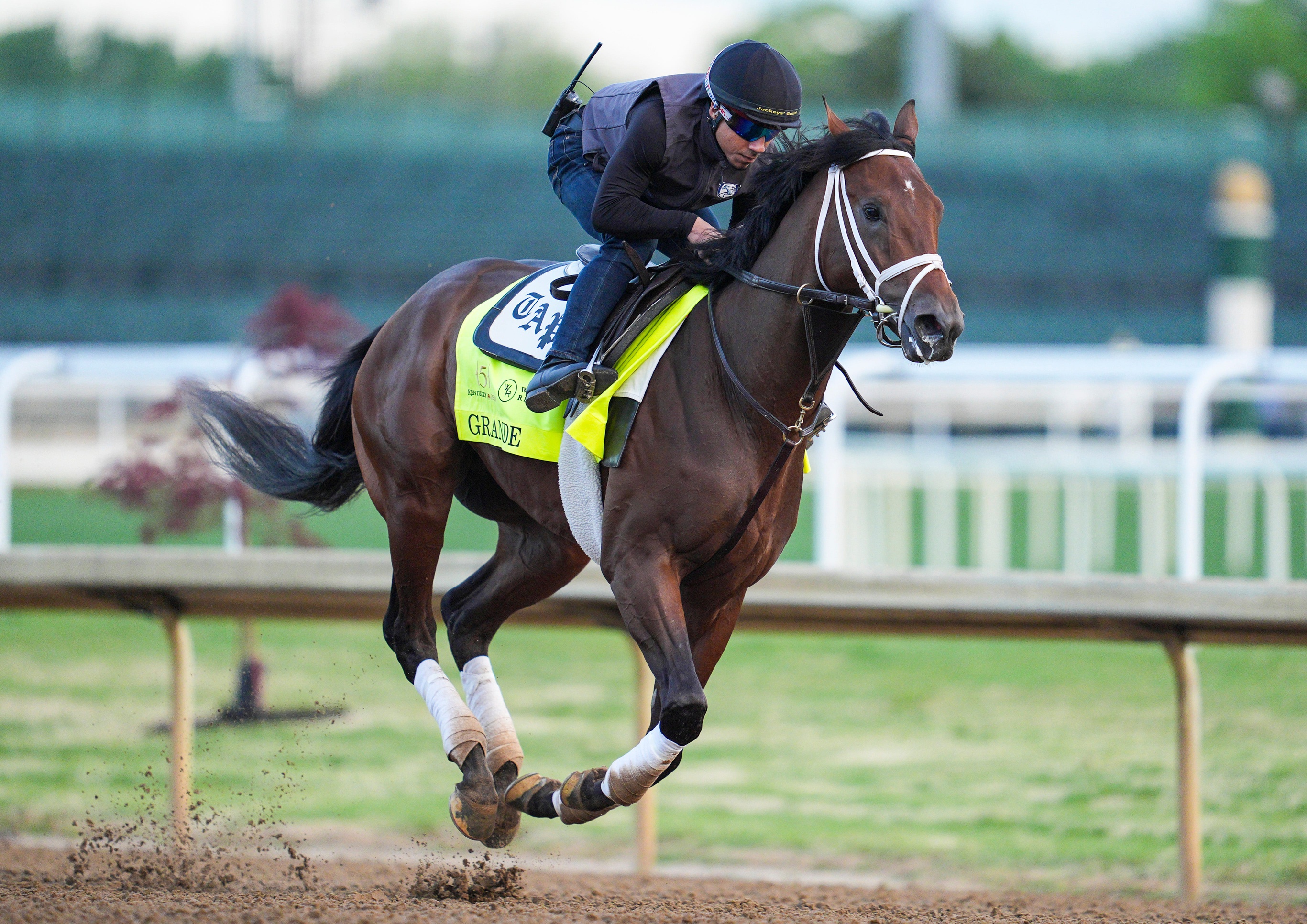 Grande odds to win the Kentucky Derby