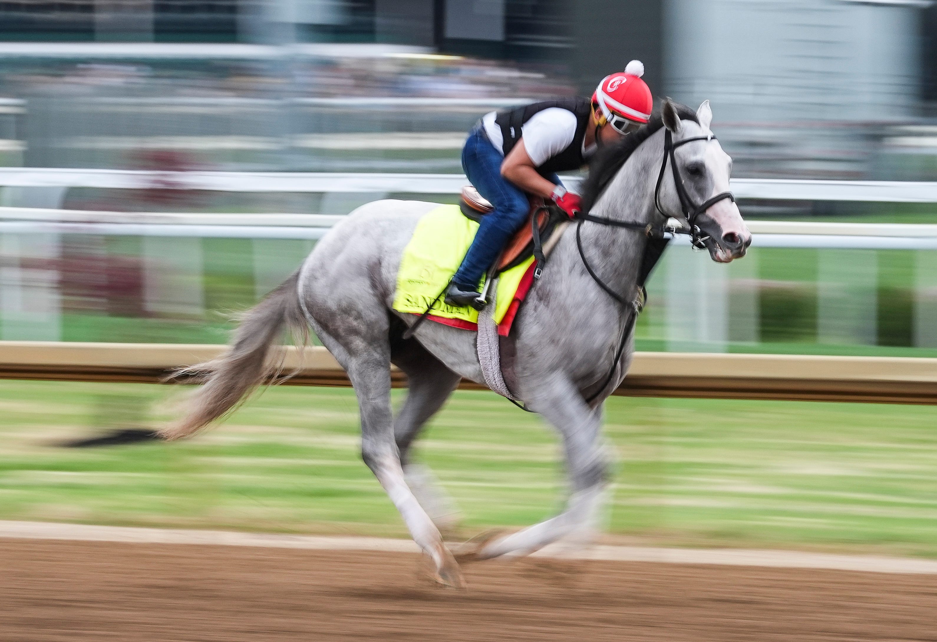 Horses that can win the Preakness Stakes Sandman