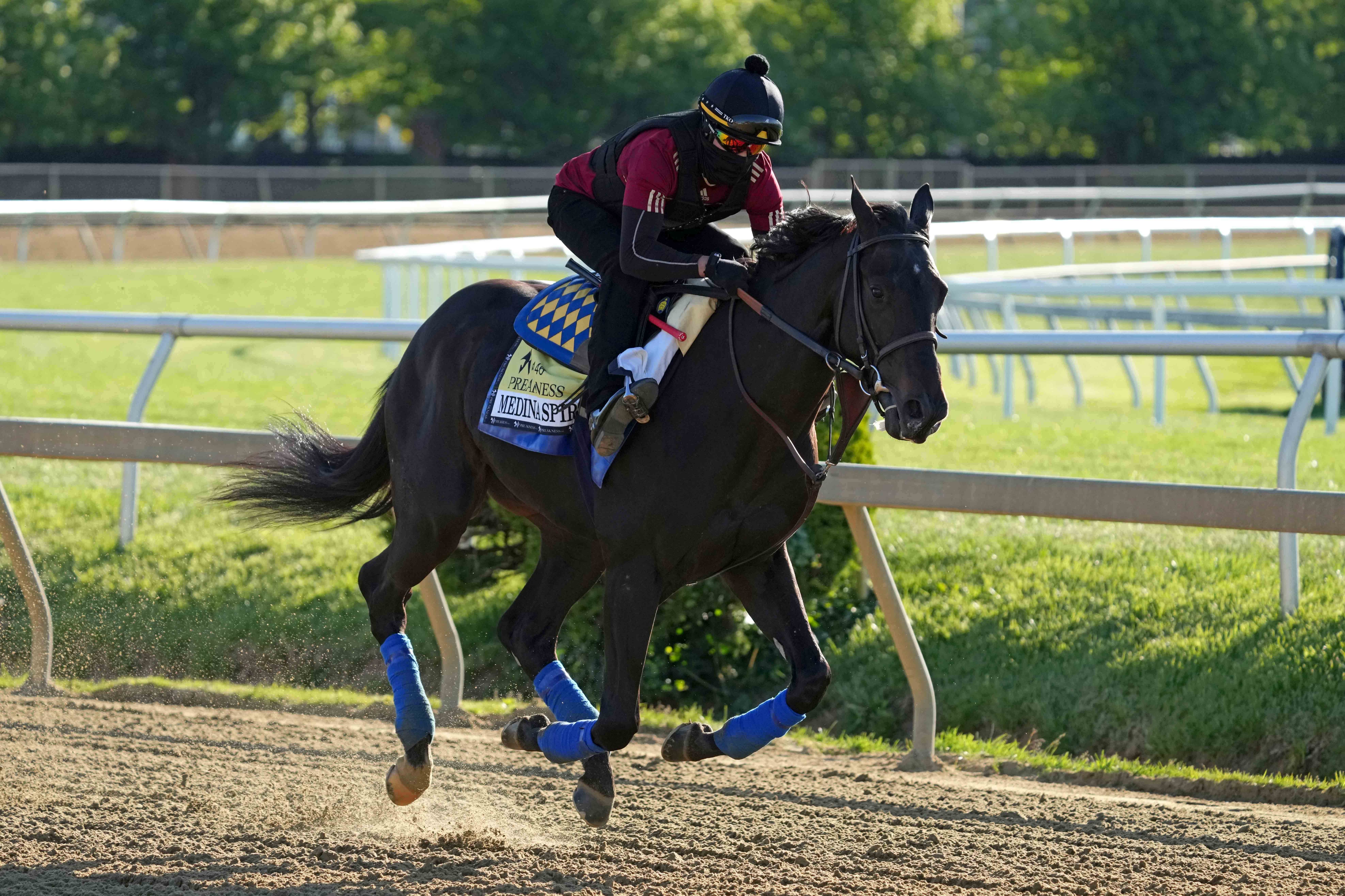 Kentucky Derby contenders