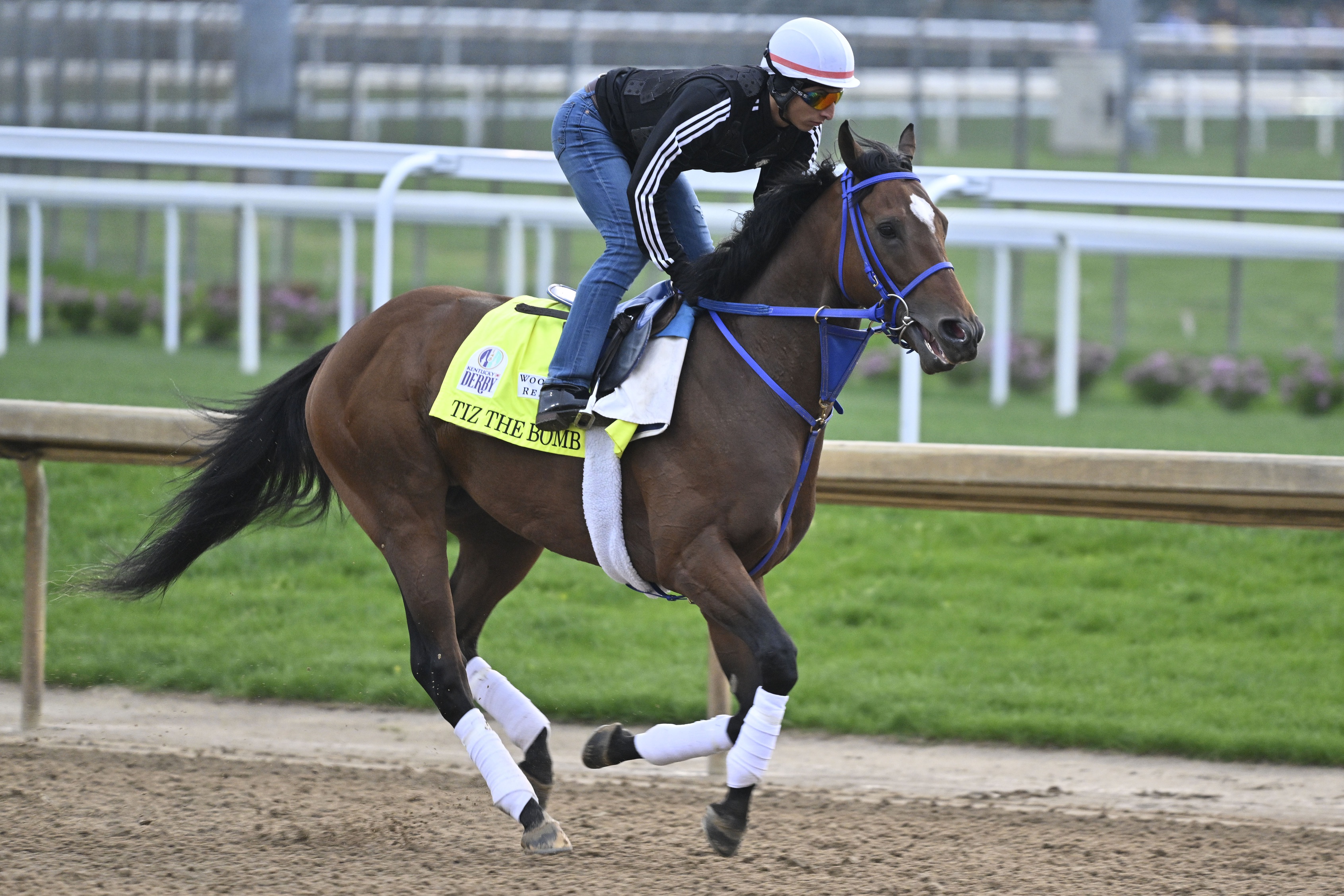 Kentucky Derby predictions