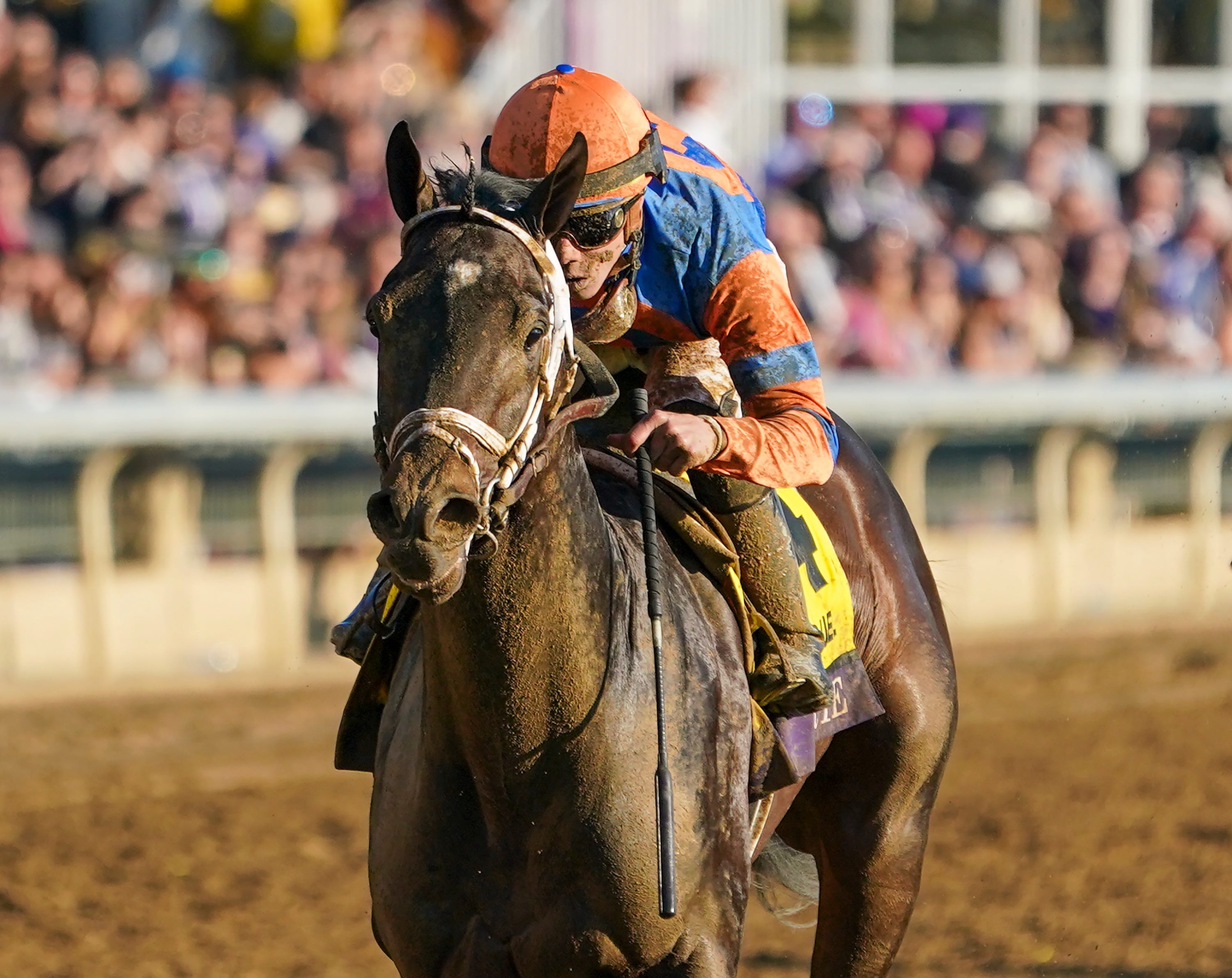 Kentucky horse racing