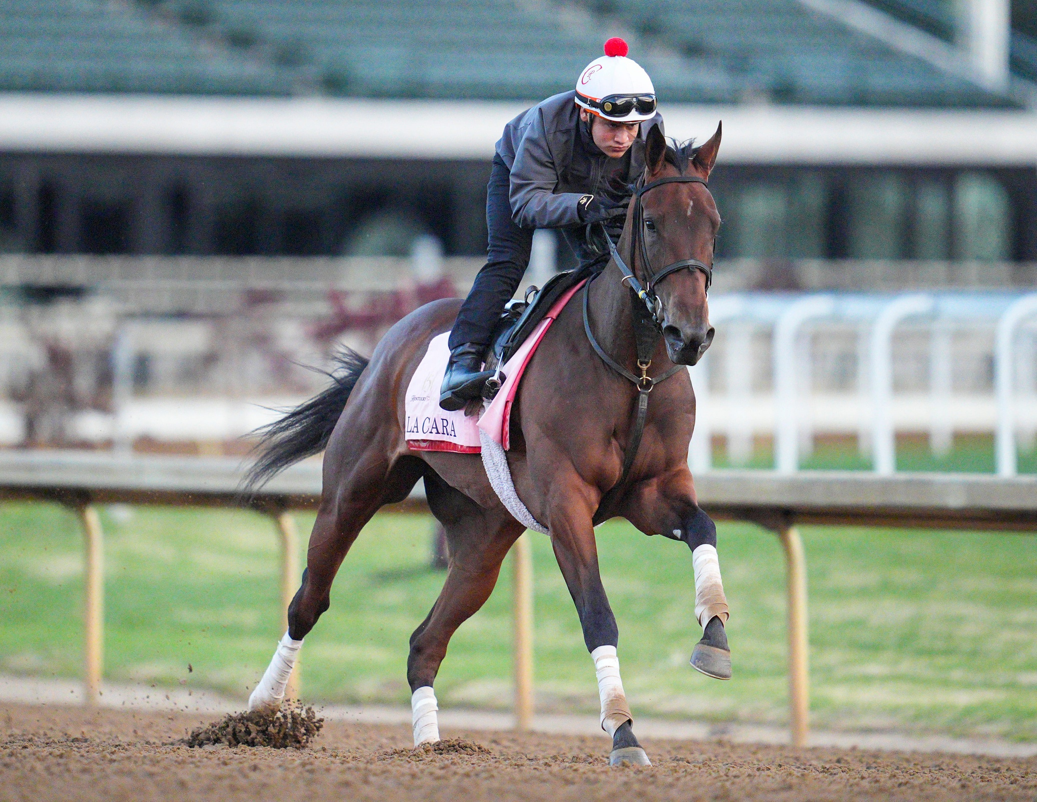 Kentucky Oaks predictions La Cara
