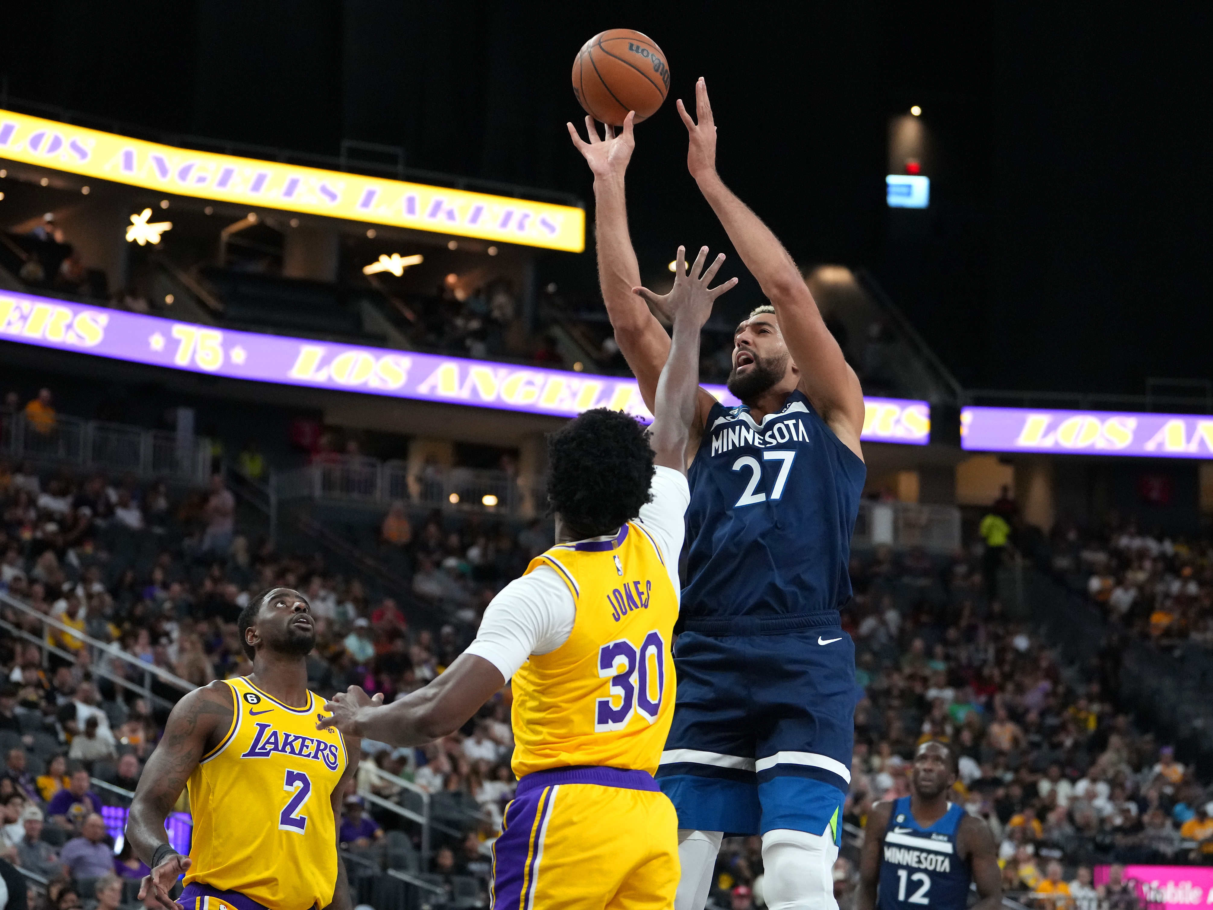 Minnesota Timberwolves predictions Rudy Gobert