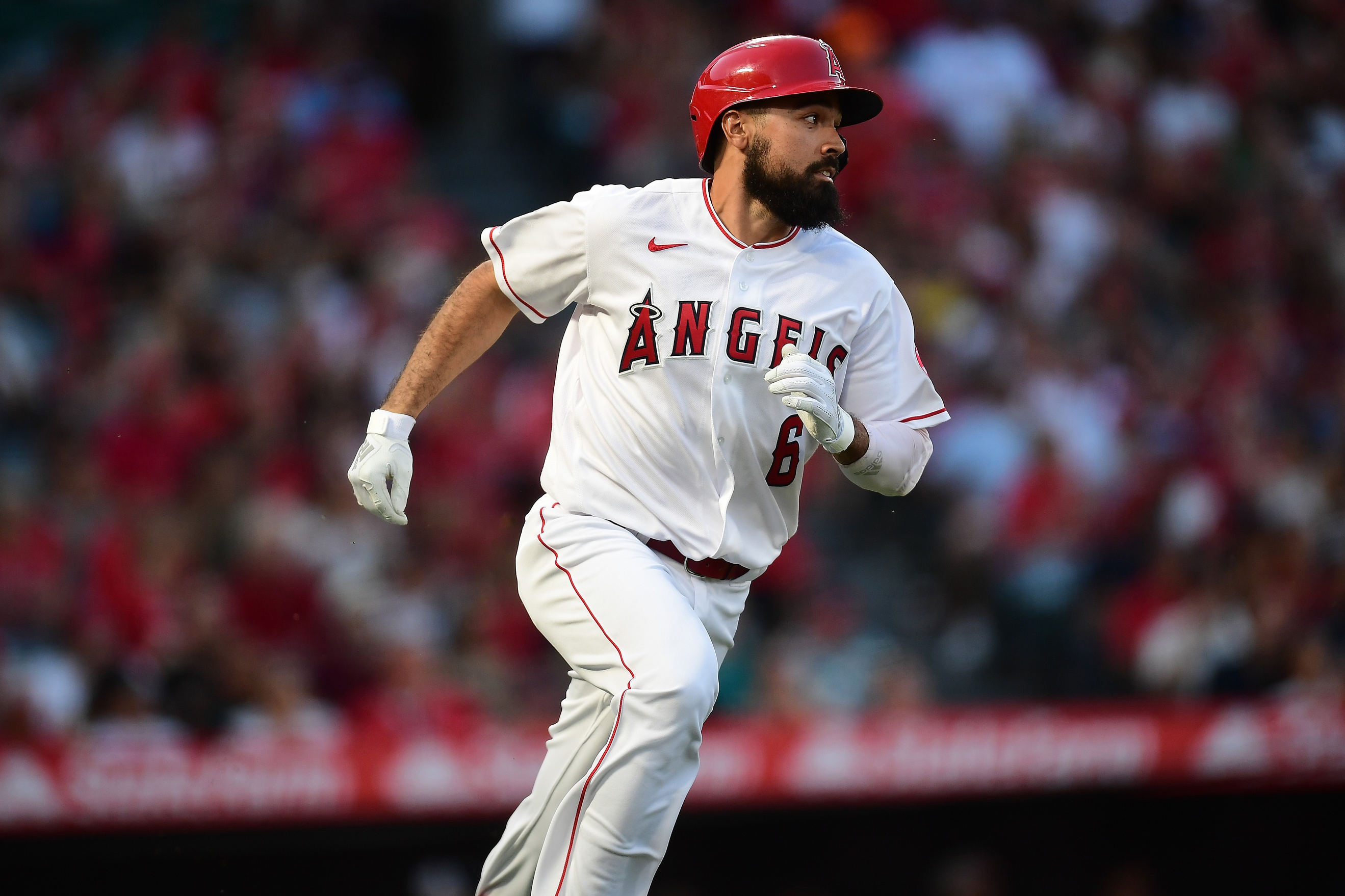 mlb picks Anthony Rendon Los Angeles Angels predictions best bet odds