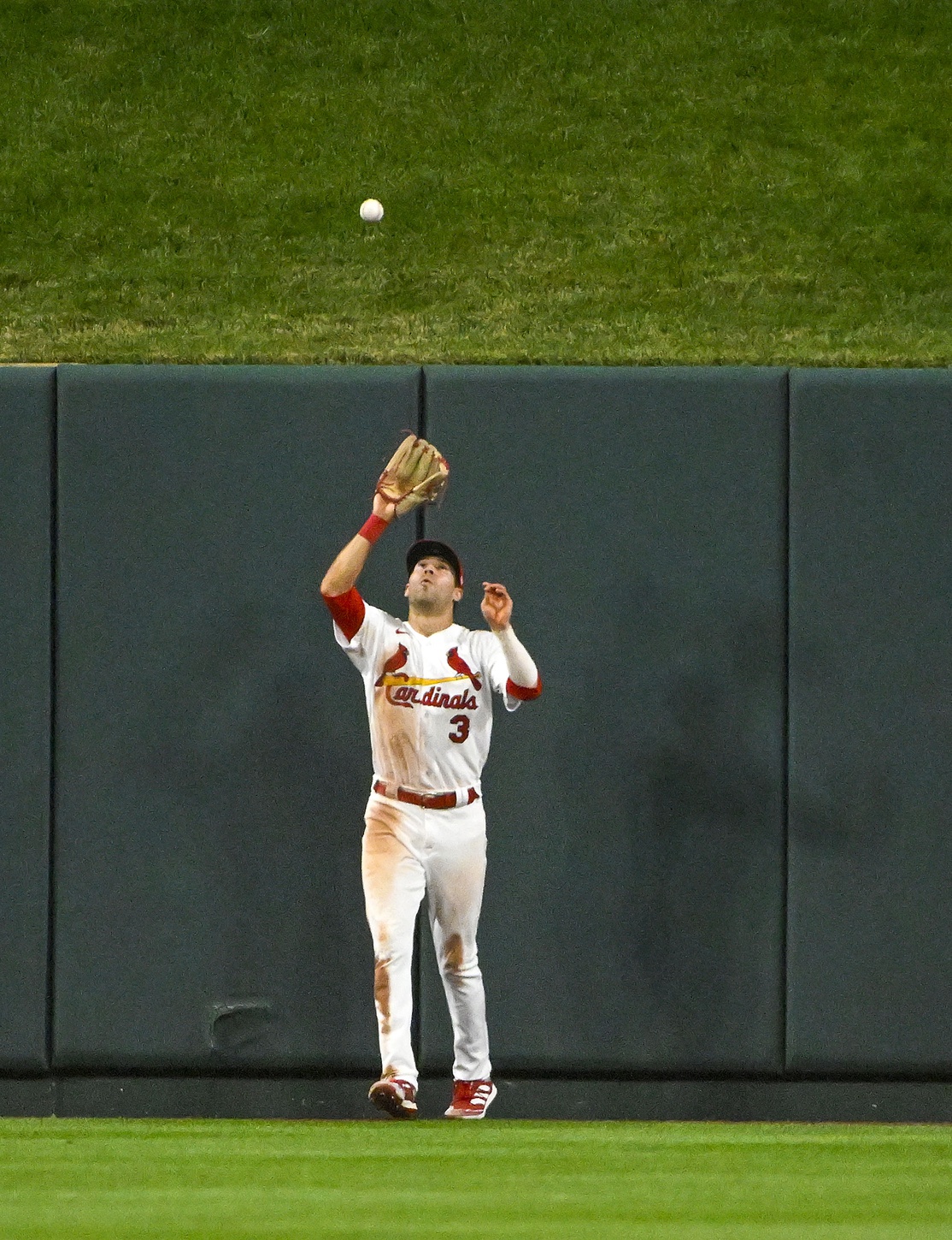mlb picks Dylan Carlson St. Louis Cardinals predictions best bet odds
