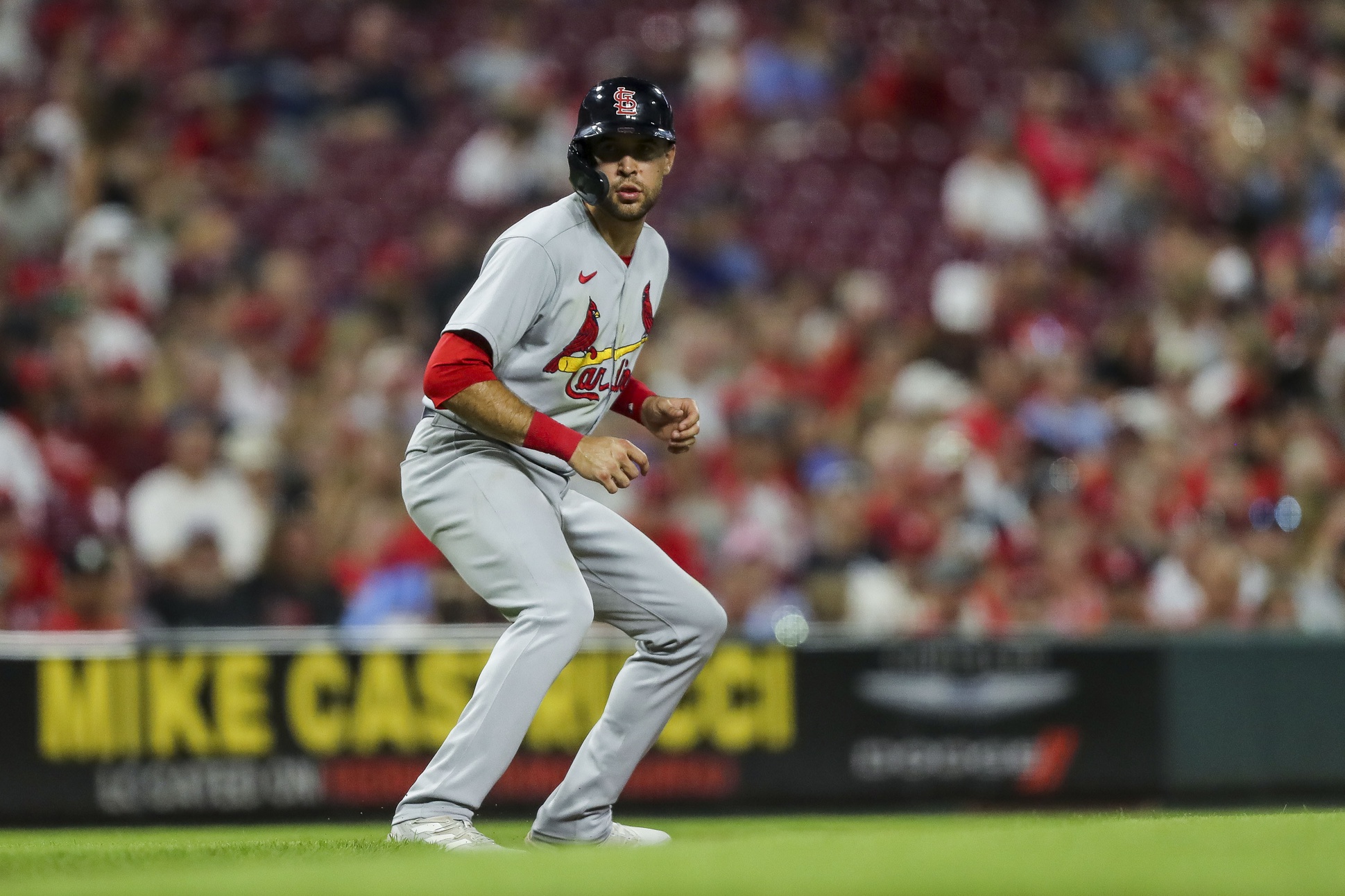 mlb picks Dylan Carlson St. Louis Cardinals predictions best bet odds