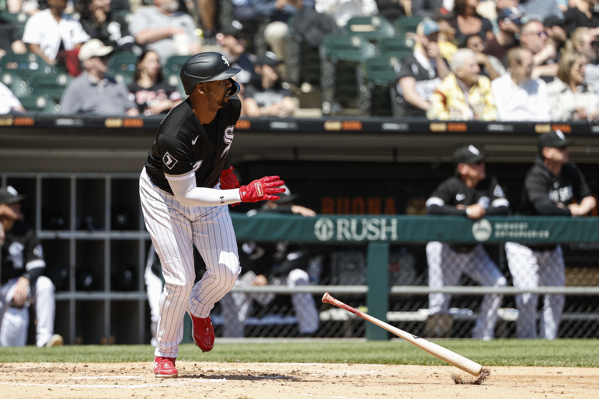 mlb picks Eloy Jimenez Chicago White Sox predictions best bet odds