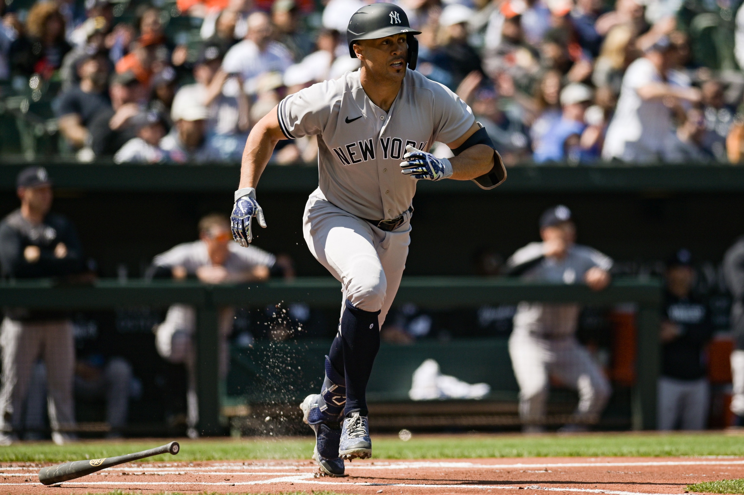 mlb picks Giancarlo Stanton New York Yankees predictions best bet odds