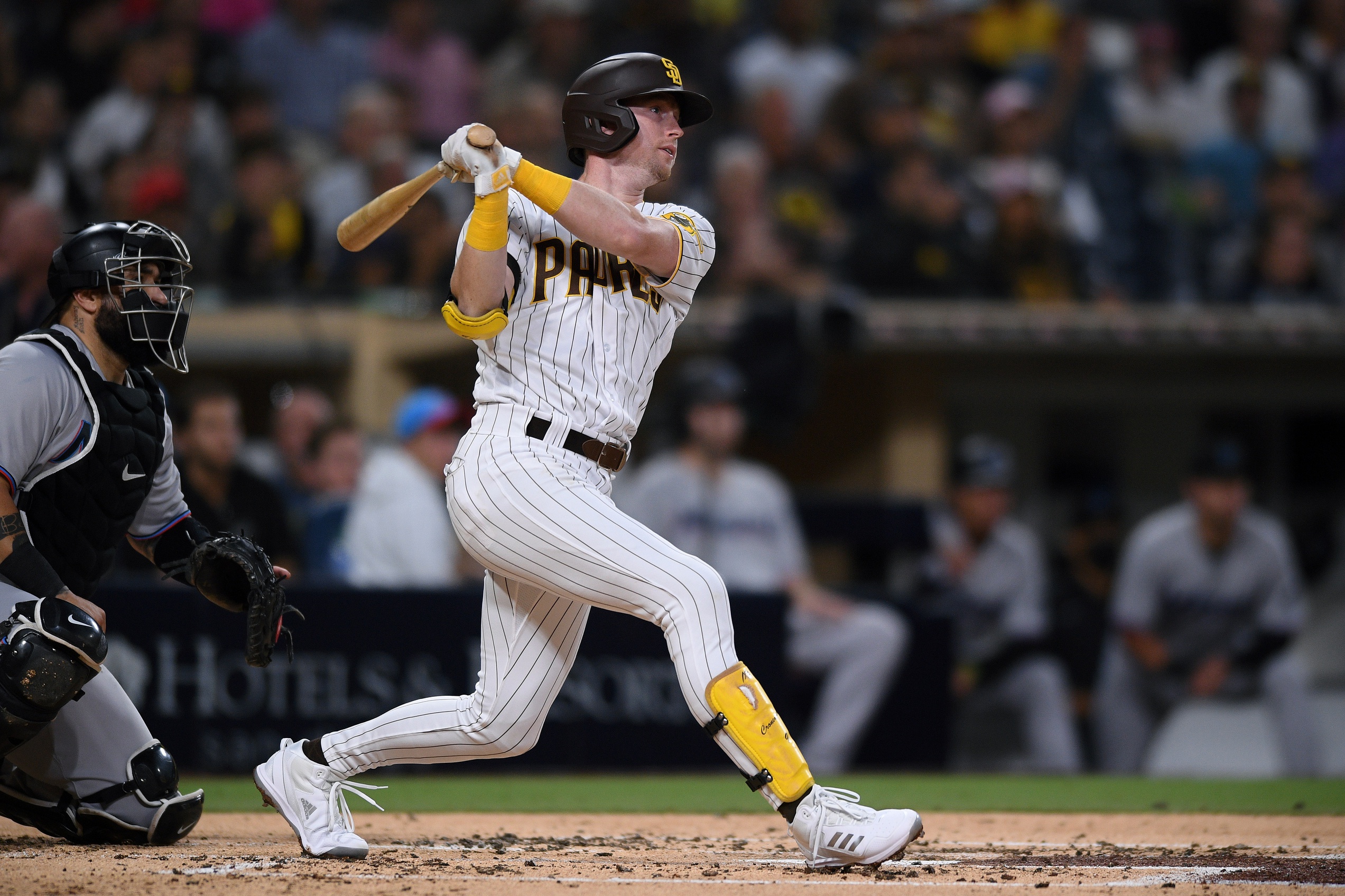 mlb picks Jake Cronenworth san diego padres predictions best bet odds