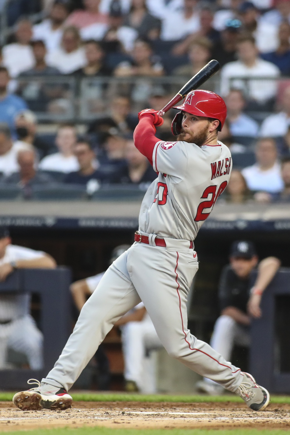 mlb picks Jared Walsh Los Angeles Angels predictions best bet odds