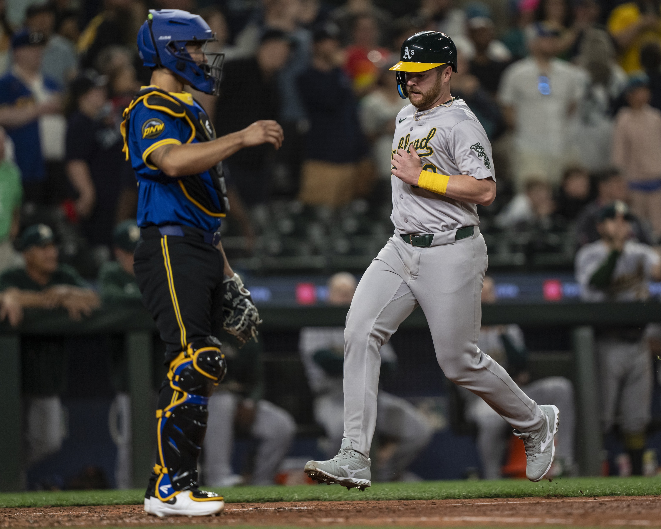 mlb picks Kyle McCann Oakland Athletics predictions best bet odds