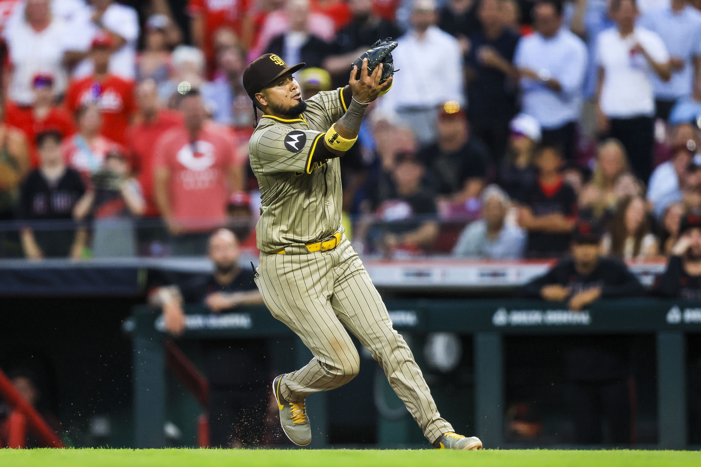 mlb picks Luis Arraez San Diego Padres predictions best bet odds