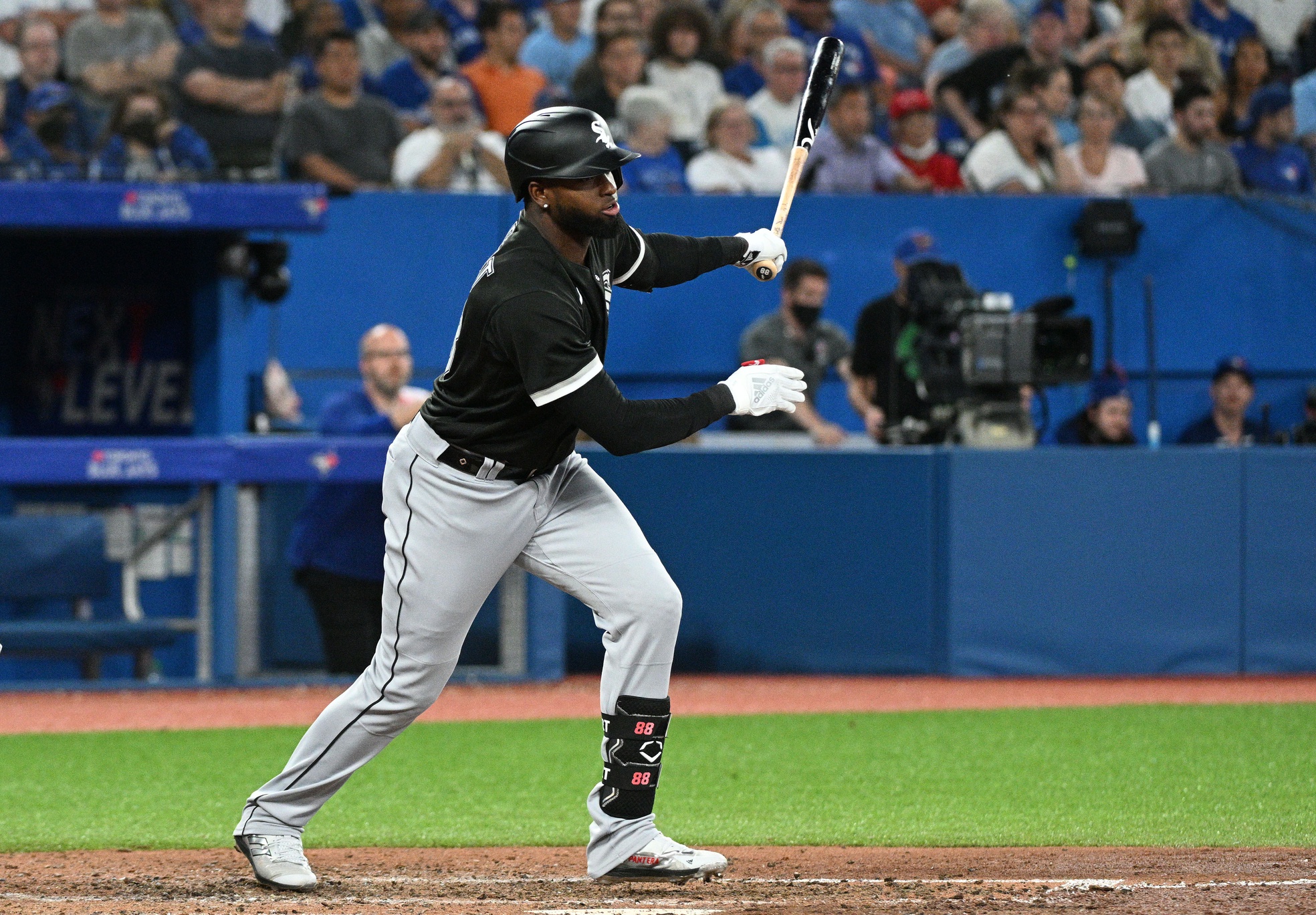 mlb picks Luis Robert Chicago White Sox predictions best bet odds