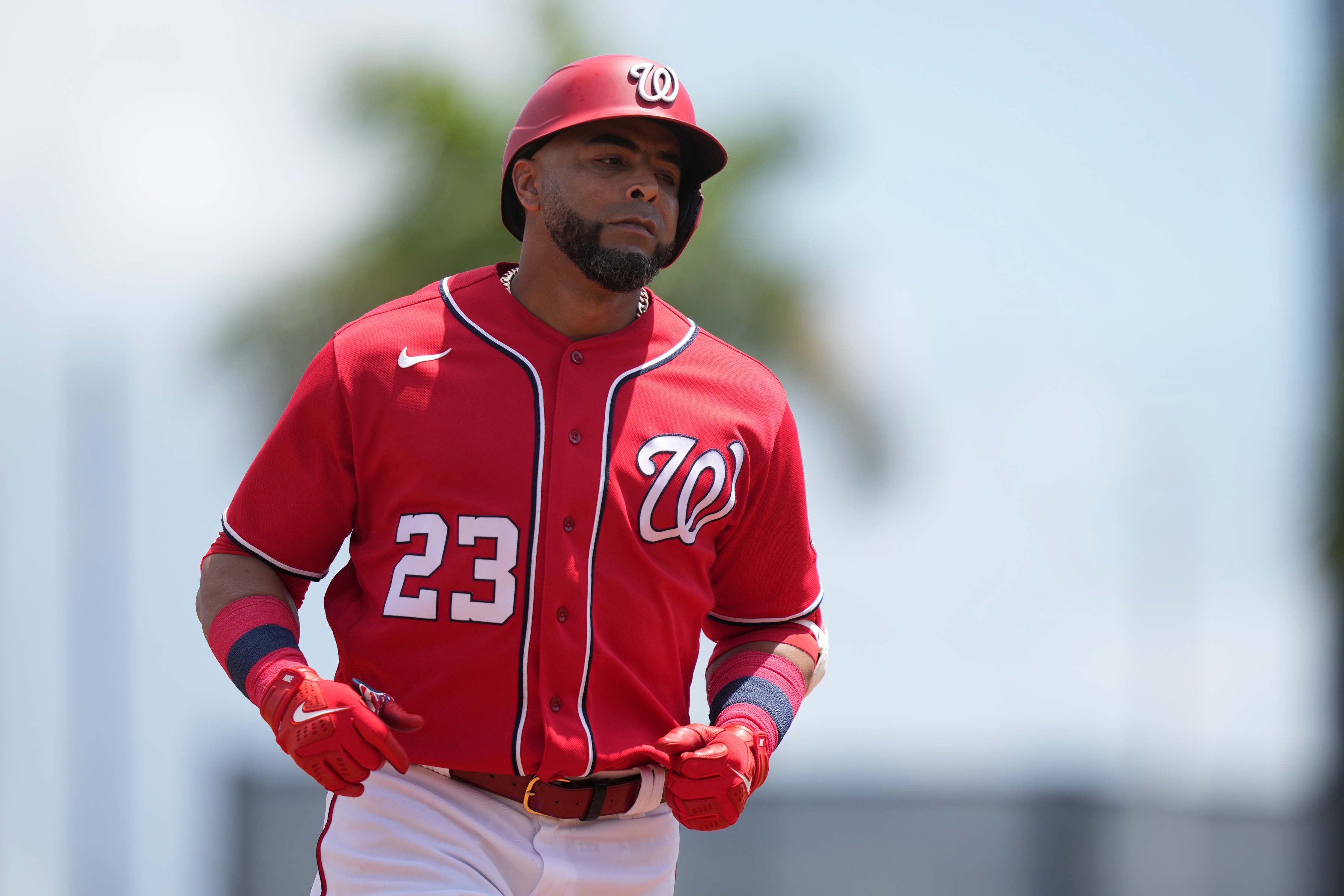 mlb picks Nelson Cruz Washington Nationals predictions best bet odds