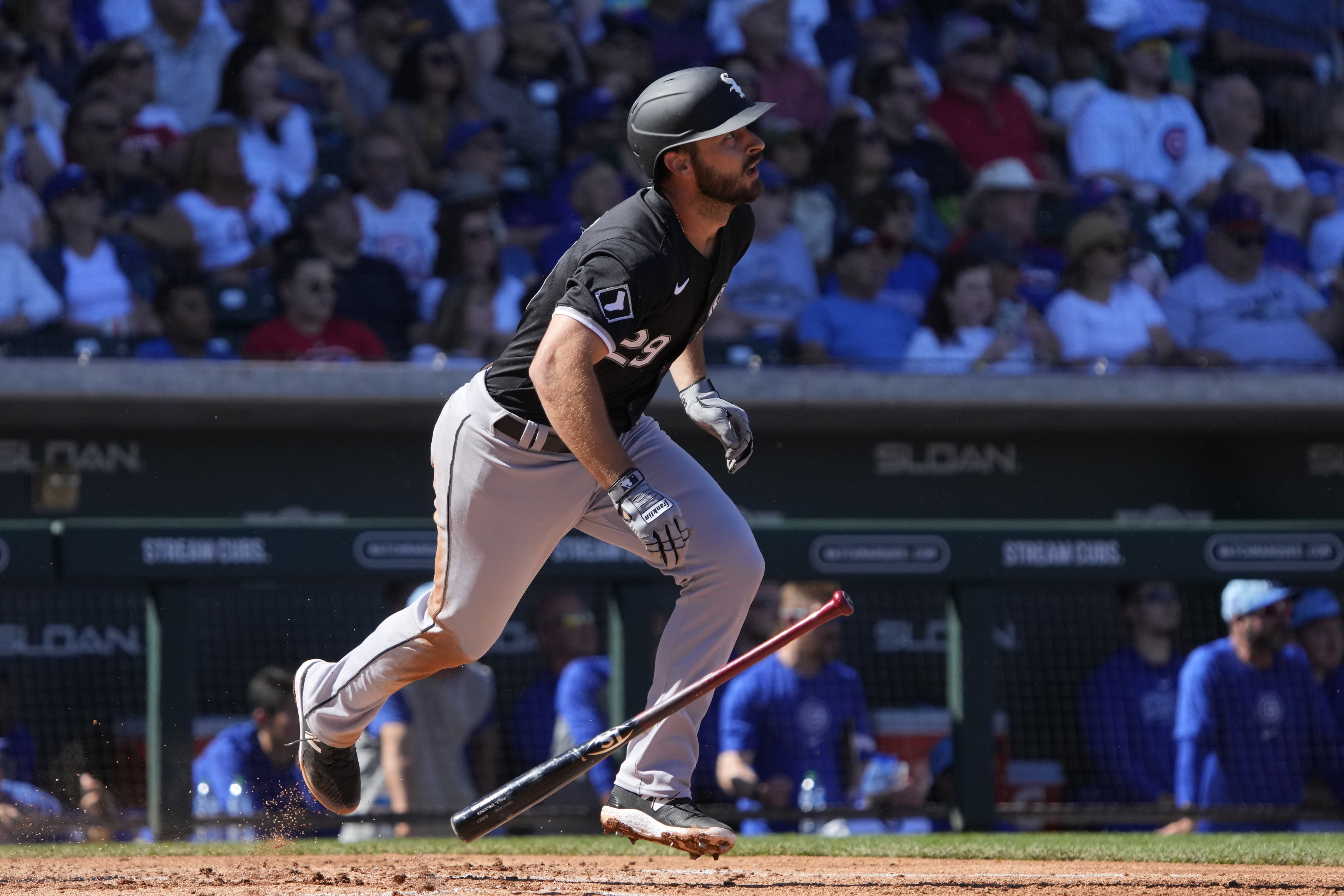 mlb picks Paul DeJong Chicago White Sox predictions best bet odds