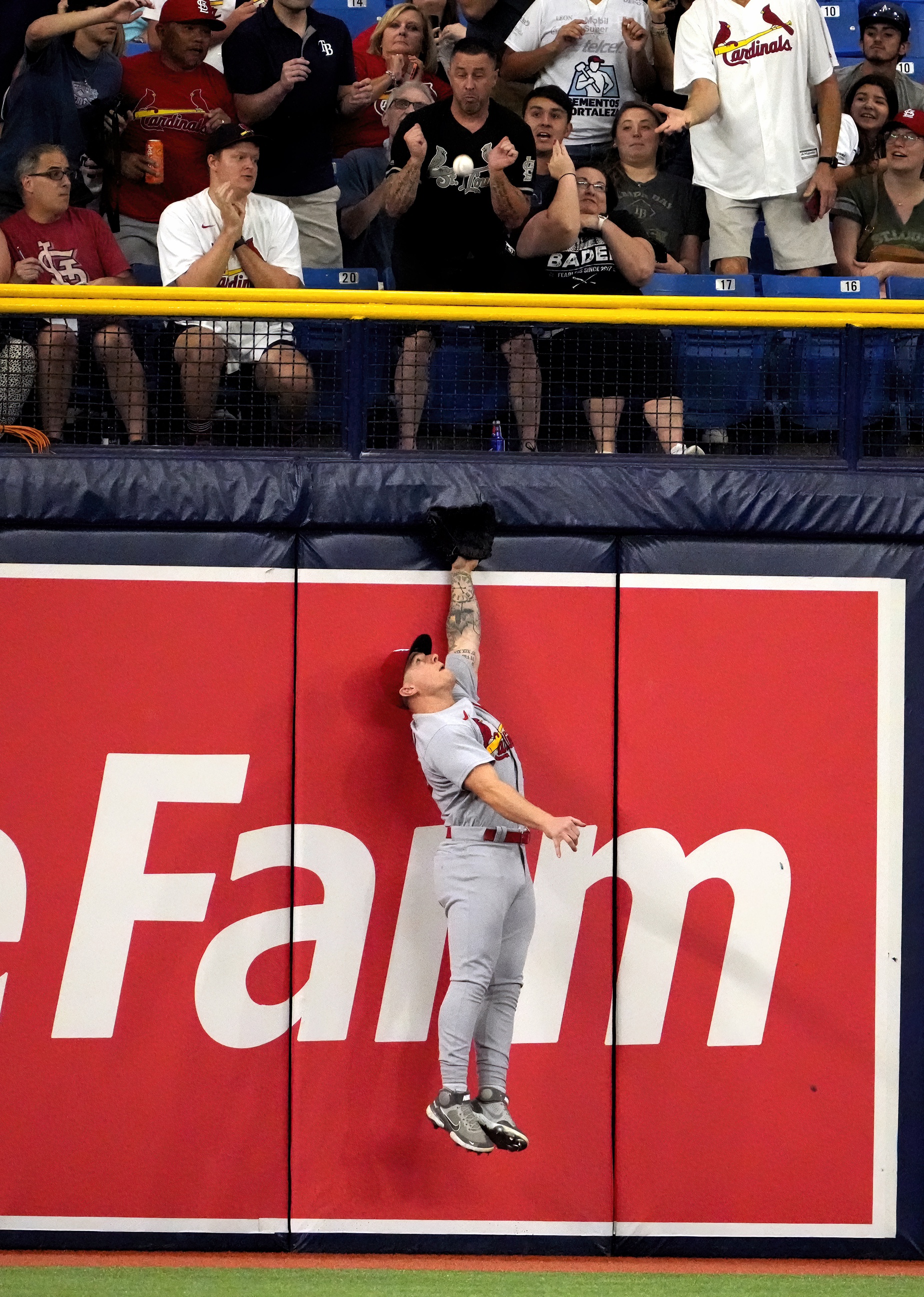 mlb picks Tyler O'Neill St. Louis Cardinals predictions best bet odds