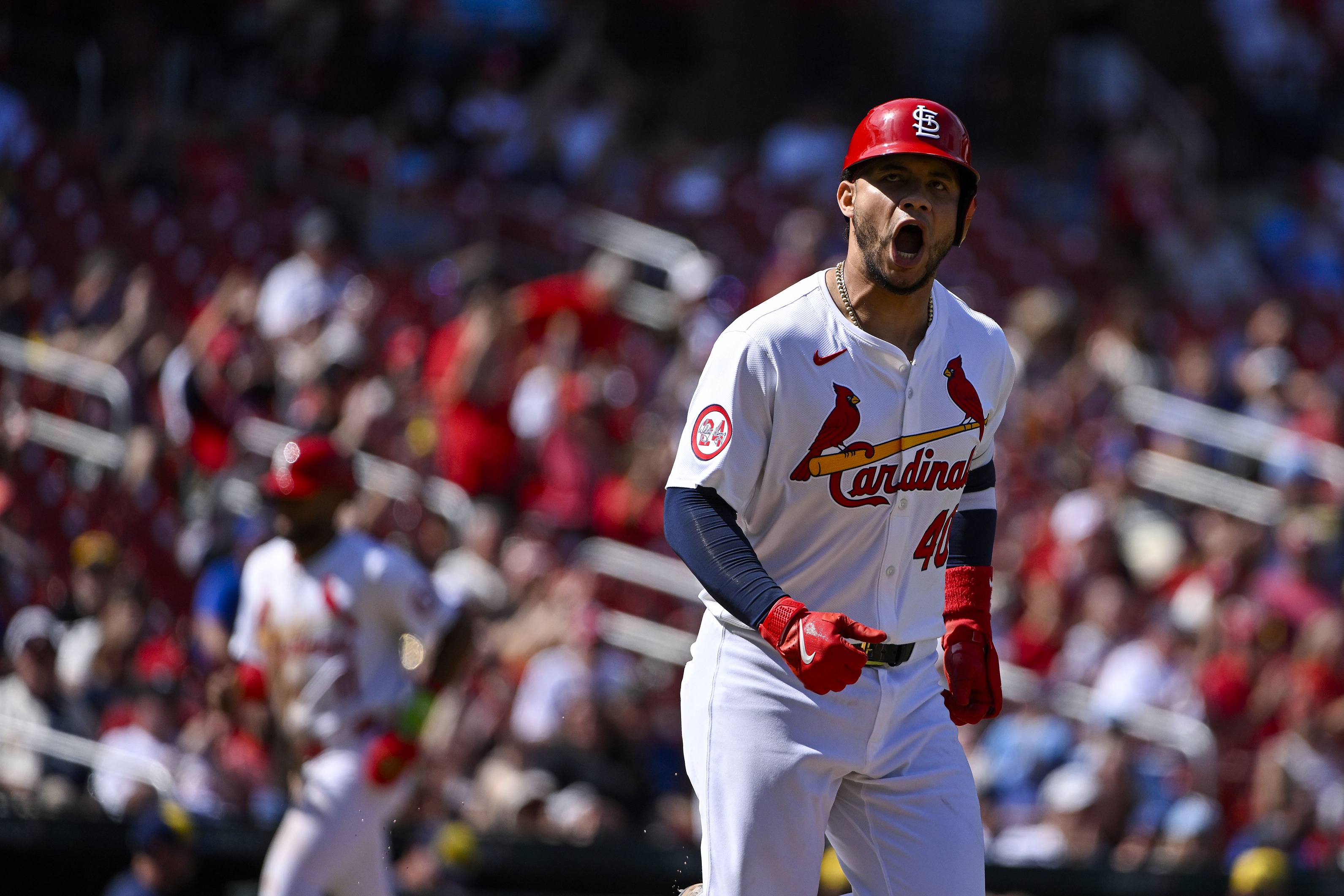 mlb picks Willson Contreras St. Louis Cardinals predictions best bet odds