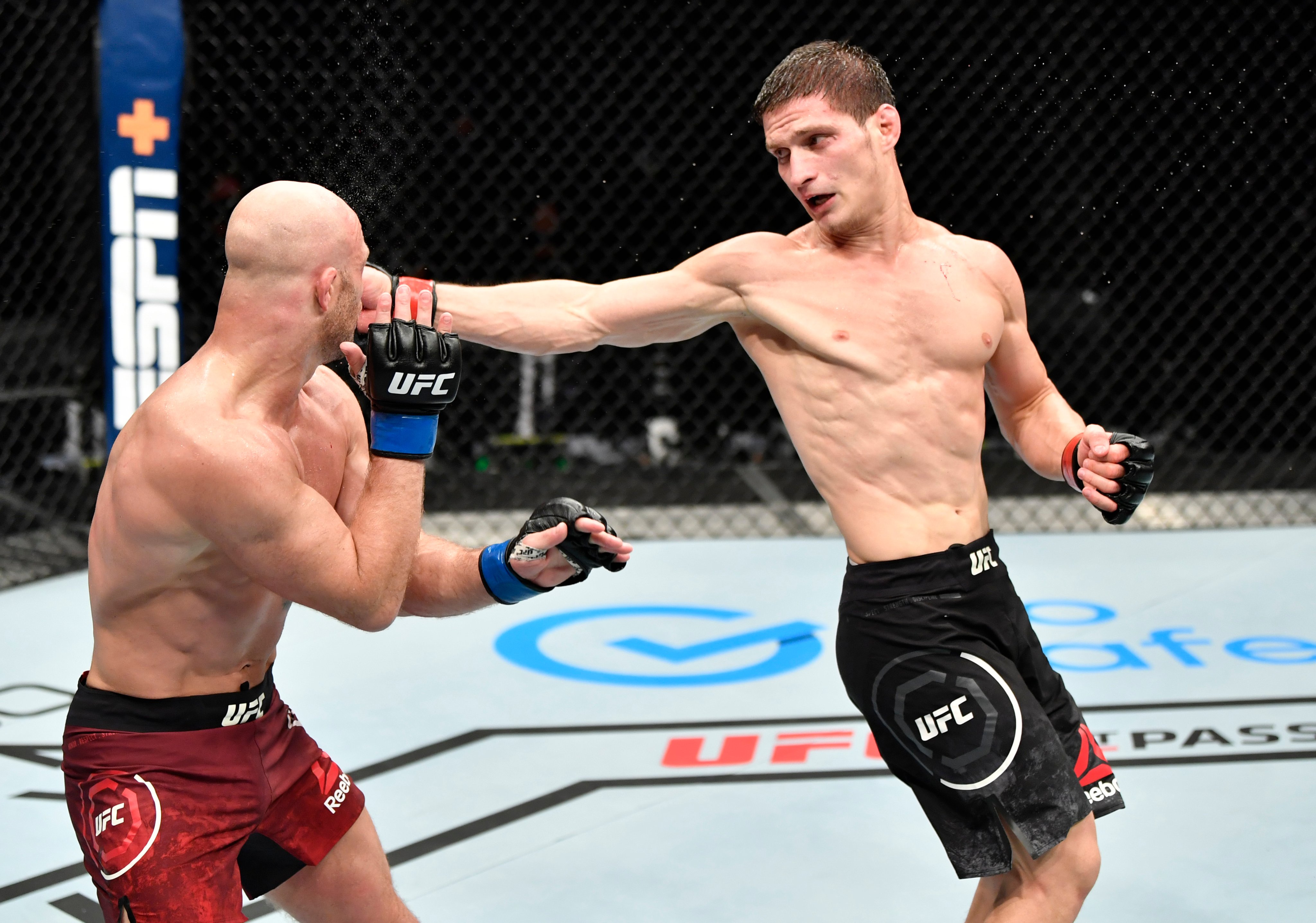 movsar evloev ufc