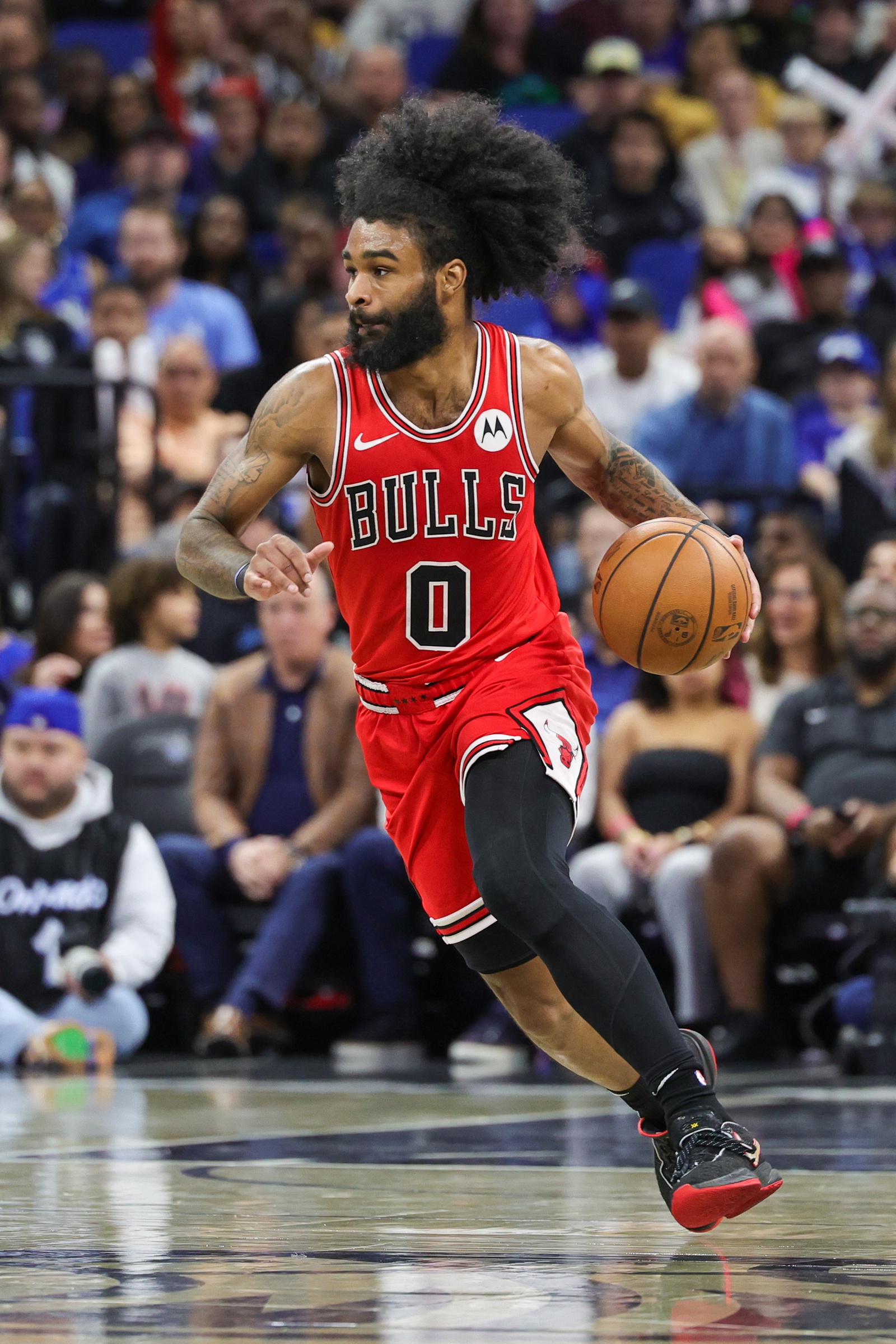 nba picks Coby White Chicago Bulls predictions best bet odds