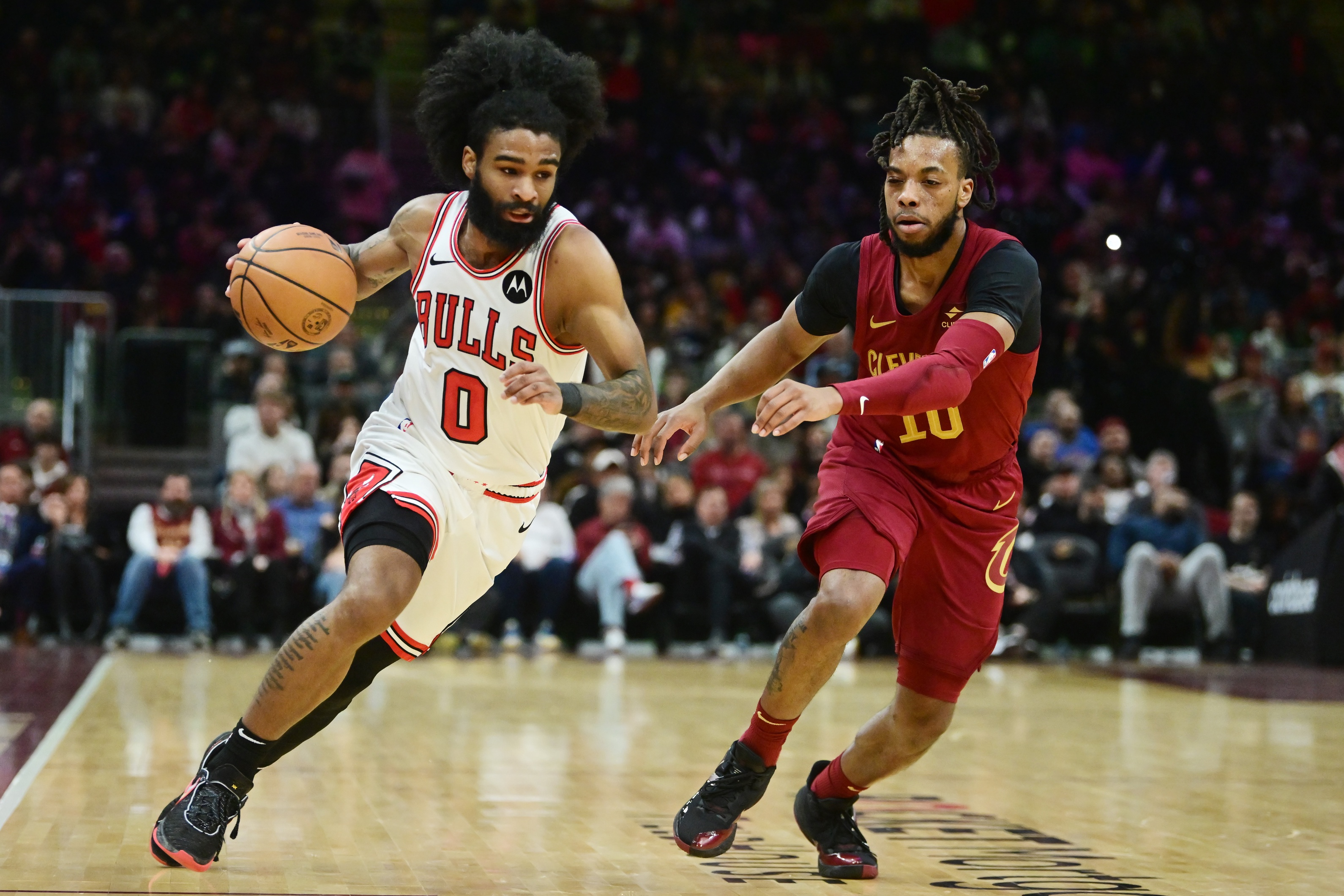 nba picks Coby White Chicago Bulls predictions best bet odds