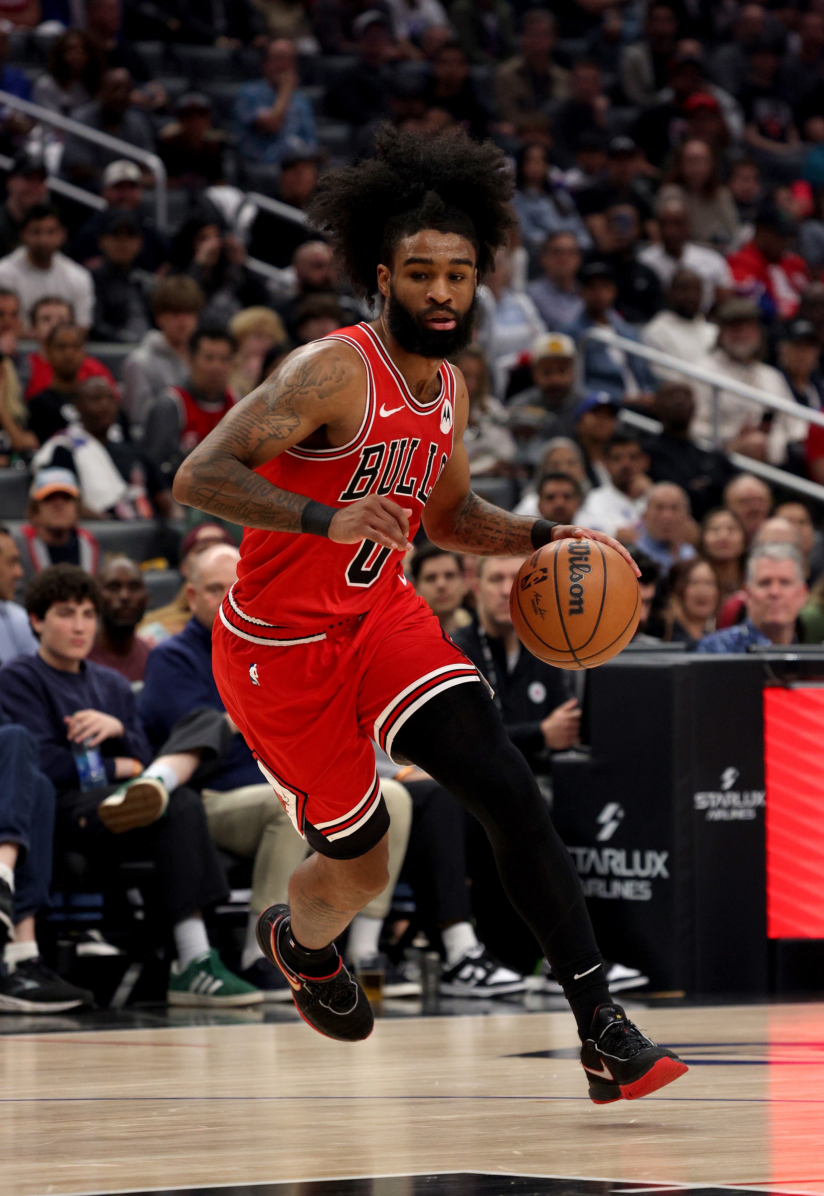 nba picks Coby White Chicago Bulls predictions best bet odds