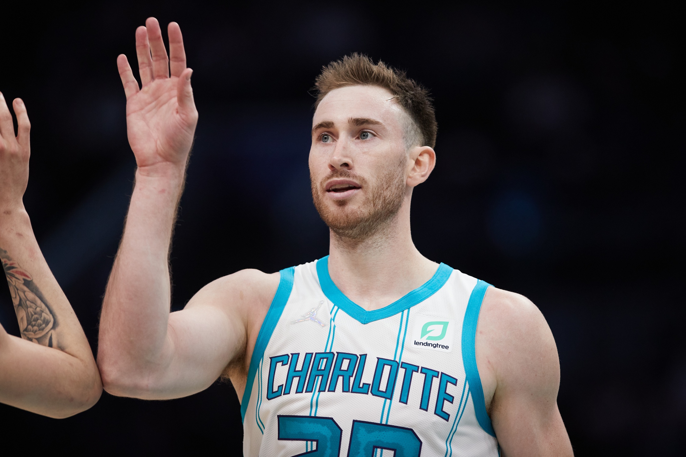 nba picks Gordon Hayward Charlotte Hornets predictions best bet odds