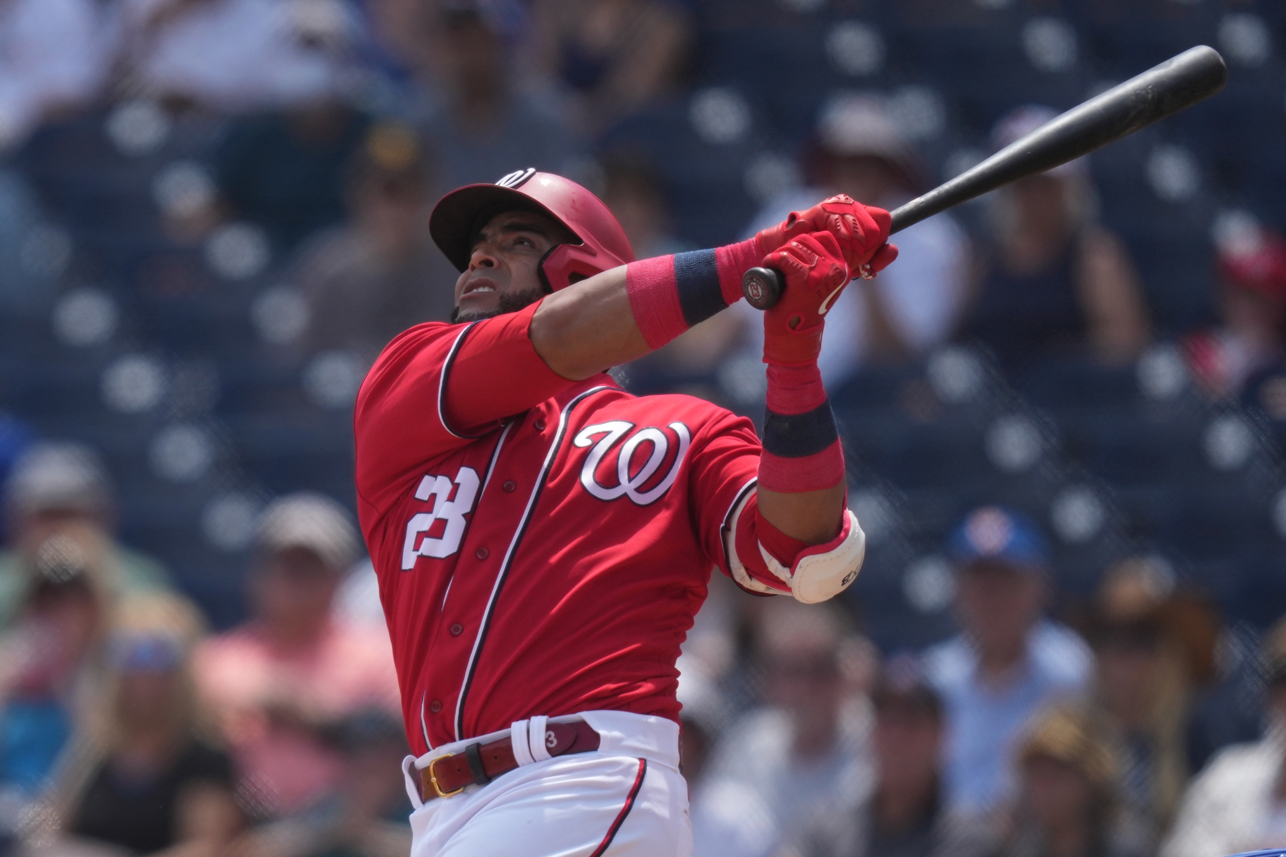Nelson Cruz Washington Nationals