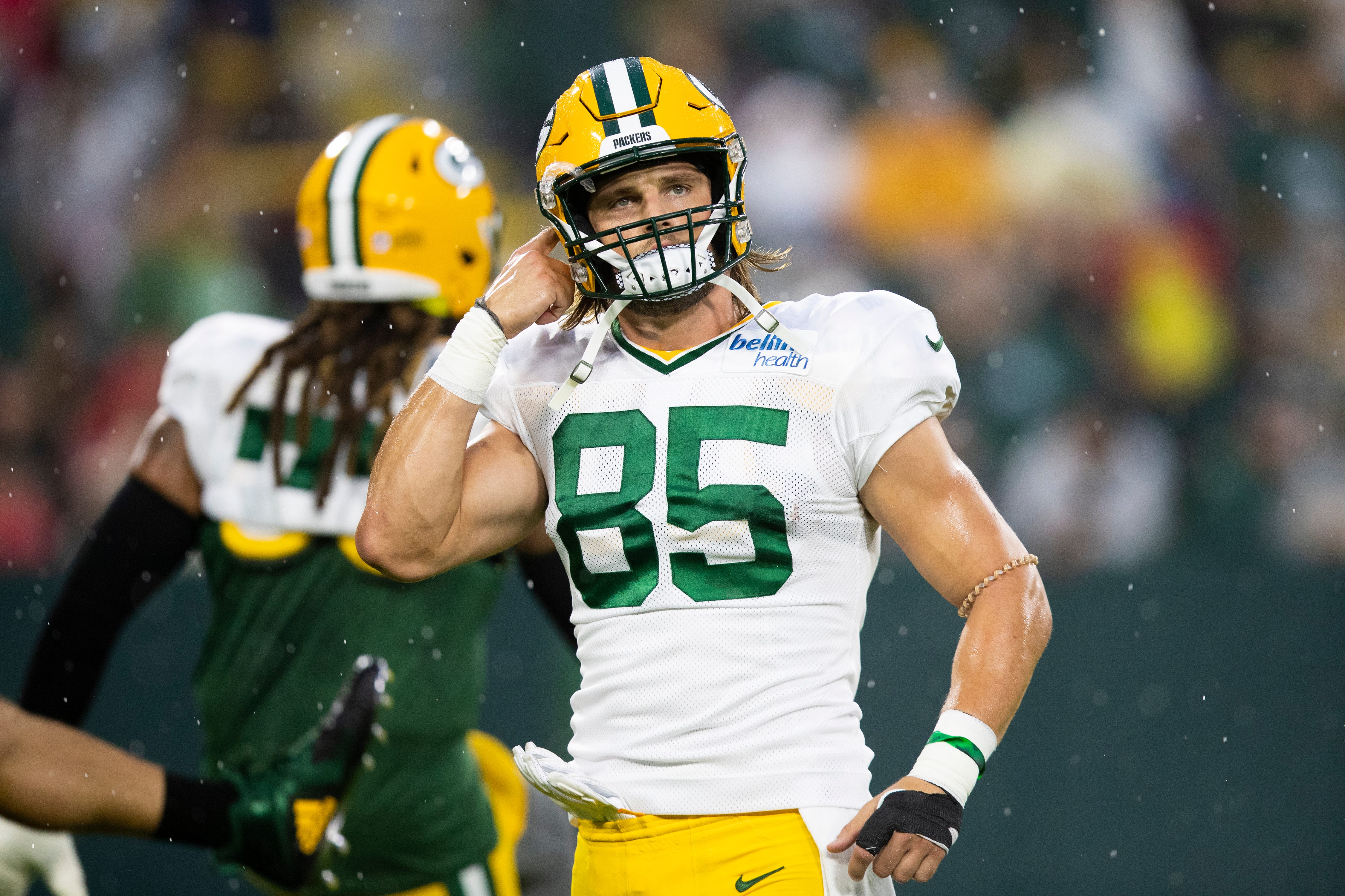 NFL picks Robert Tonyan Green Bay Packers NFC North predictions
