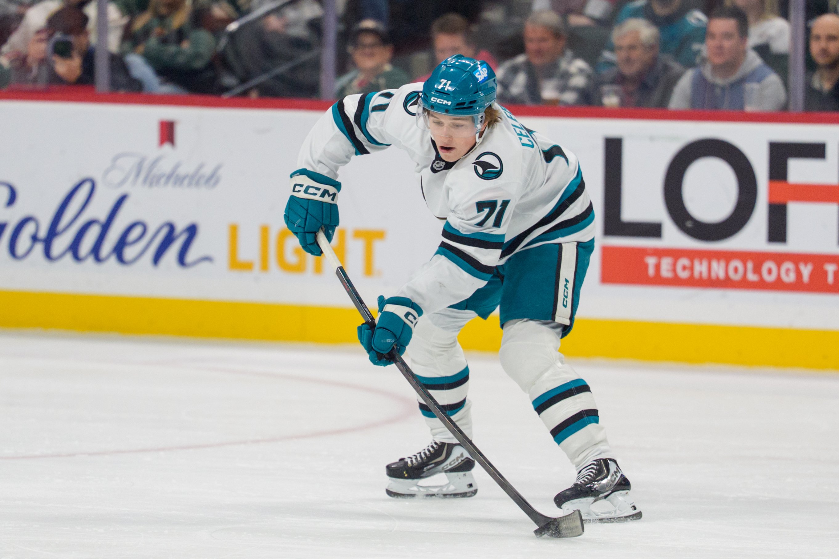 NHL betting hot and cold teams ATS and moneyline Macklin Celebrini San Jose Sharks