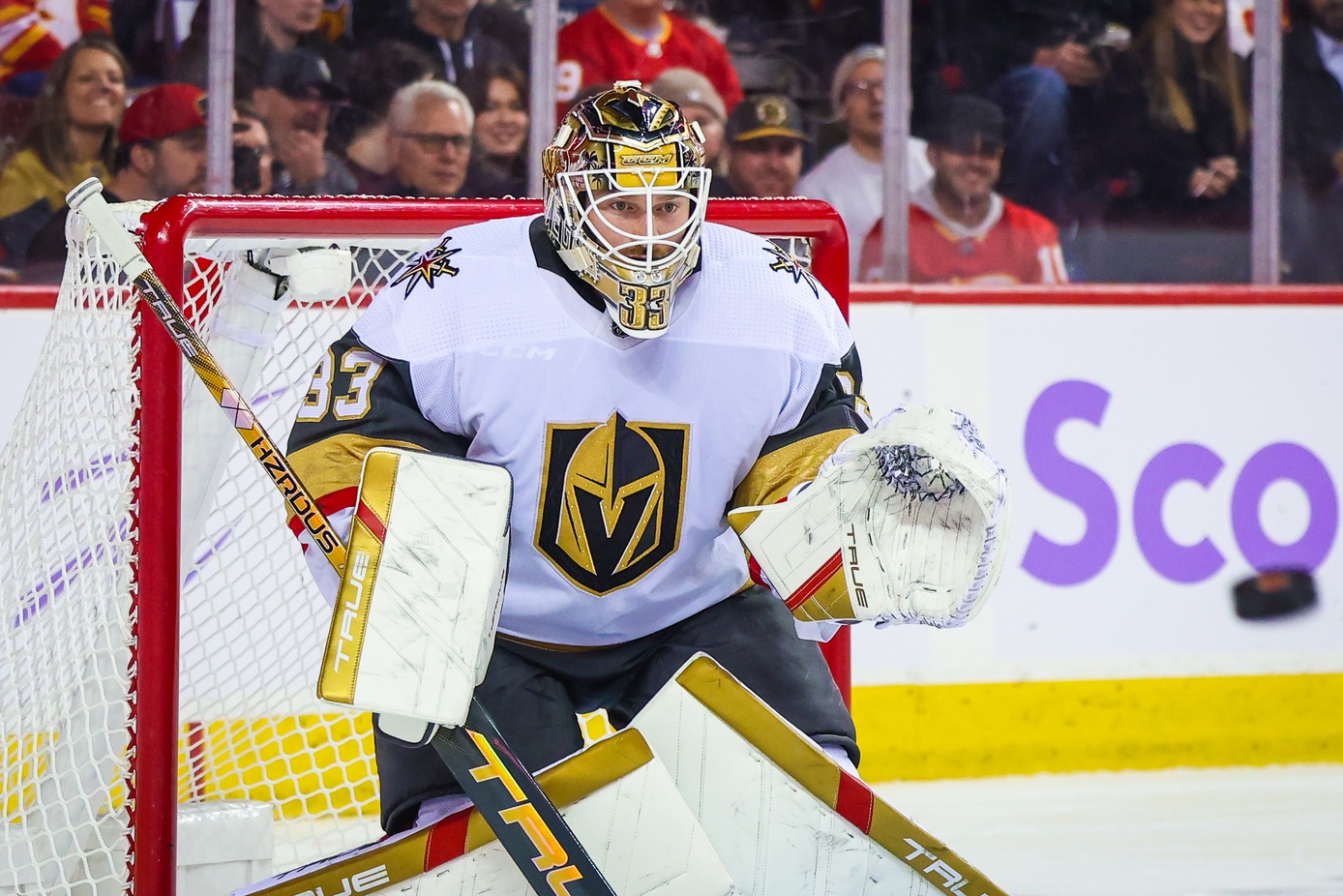 nhl picks Adin Hill Vegas Golden Knights nhl picks predictions best bet odds