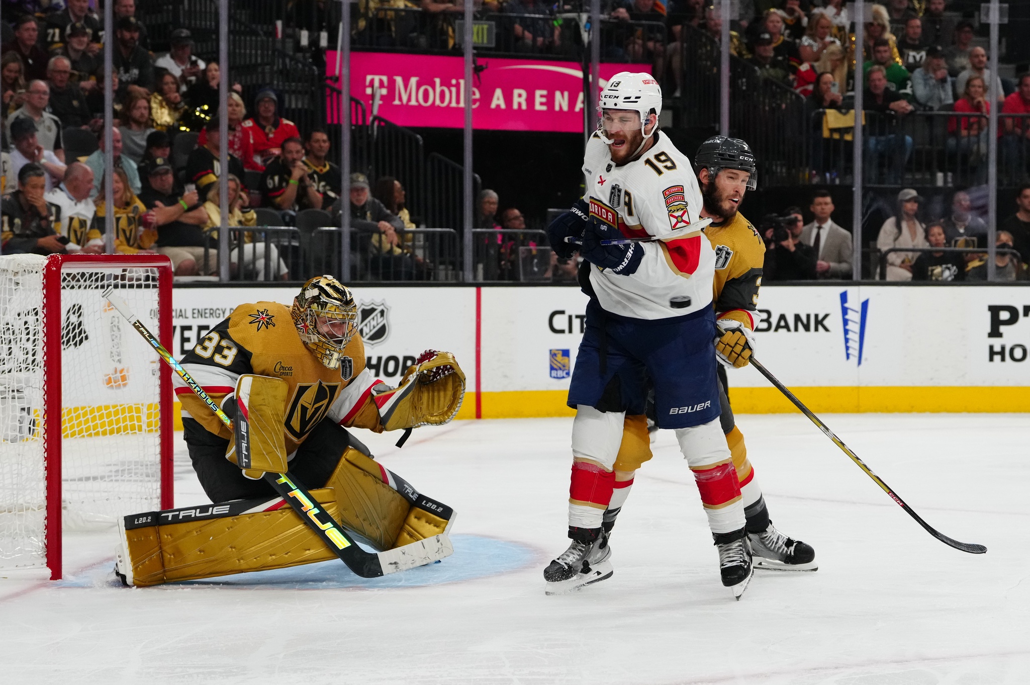 nhl picks Adin Hill Vegas Golden Knights predictions best bet odds