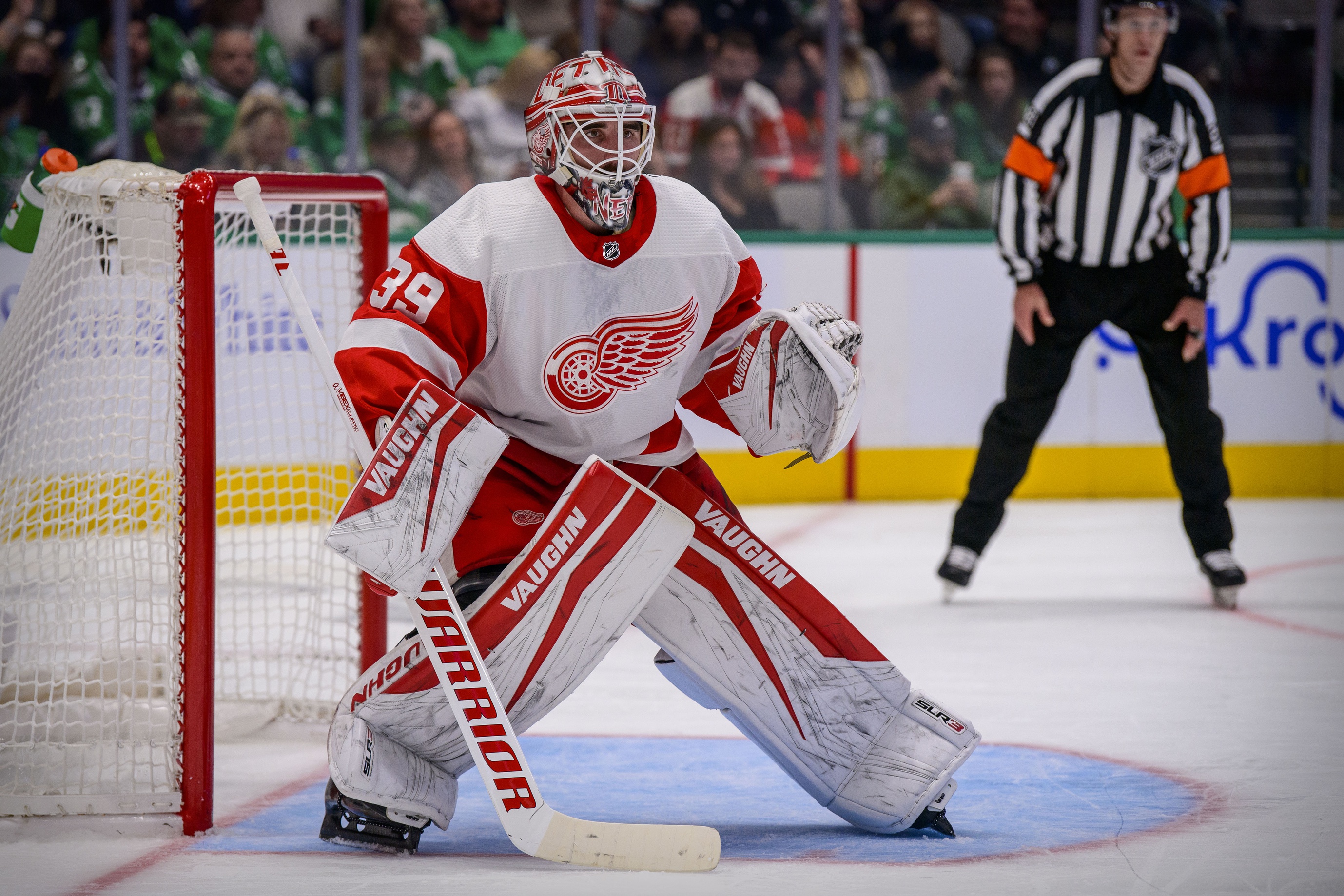 nhl picks Alex Nedeljkovic Detroit Red Wings predictions best bet odds