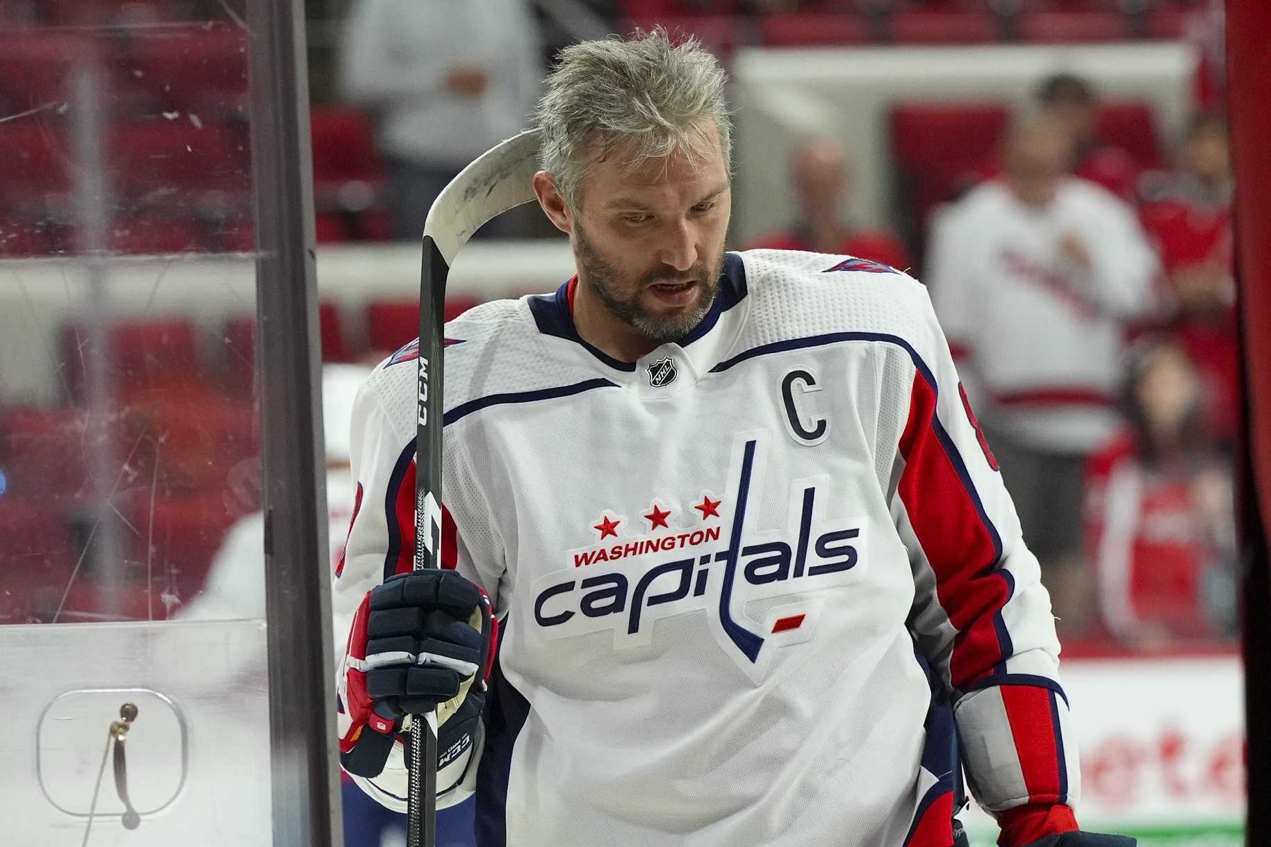 nhl picks Alex Ovechkin Washington Capitals predictions best bet odds