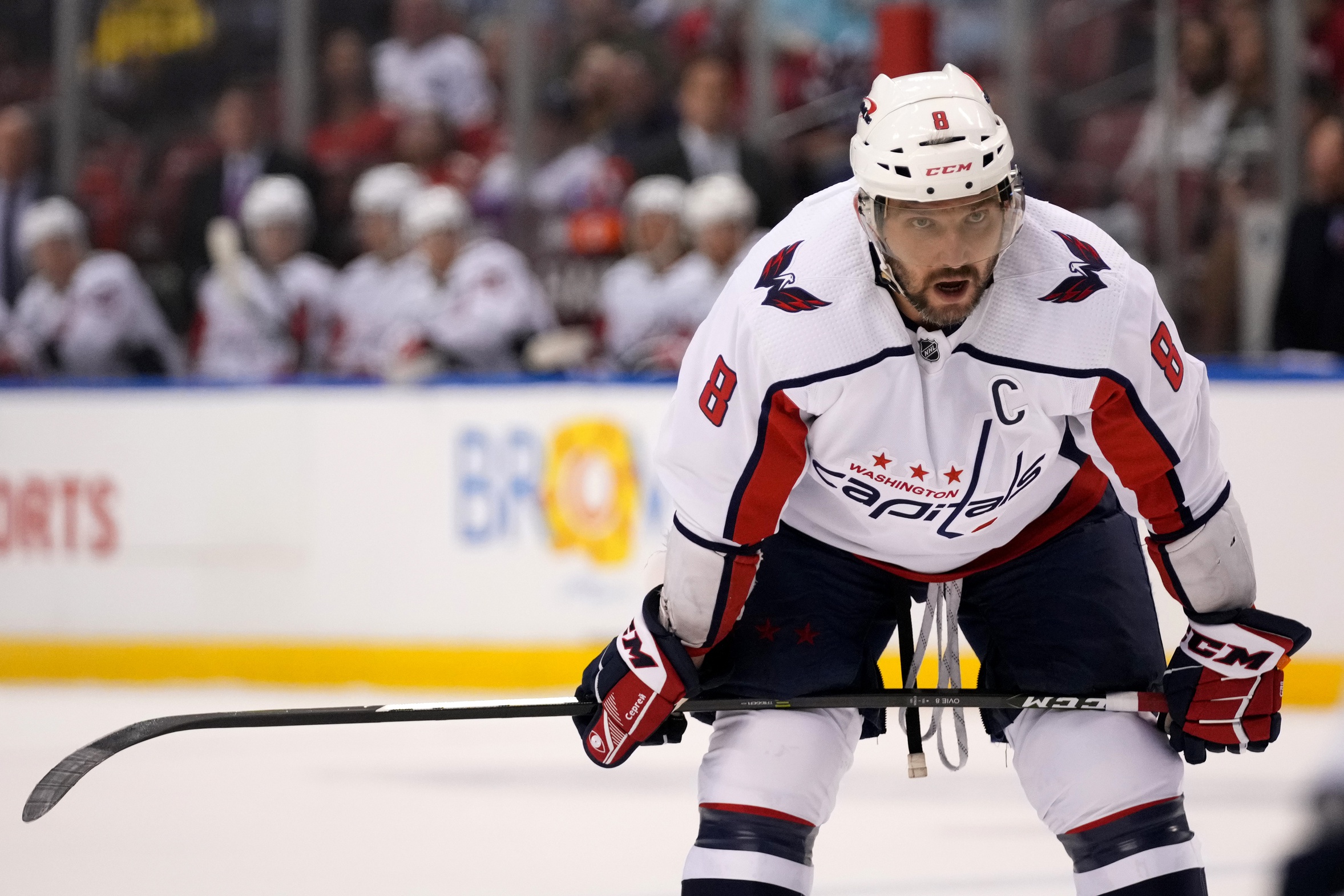 nhl picks Alex Ovechkin Washington Capitals predictions best bet odds