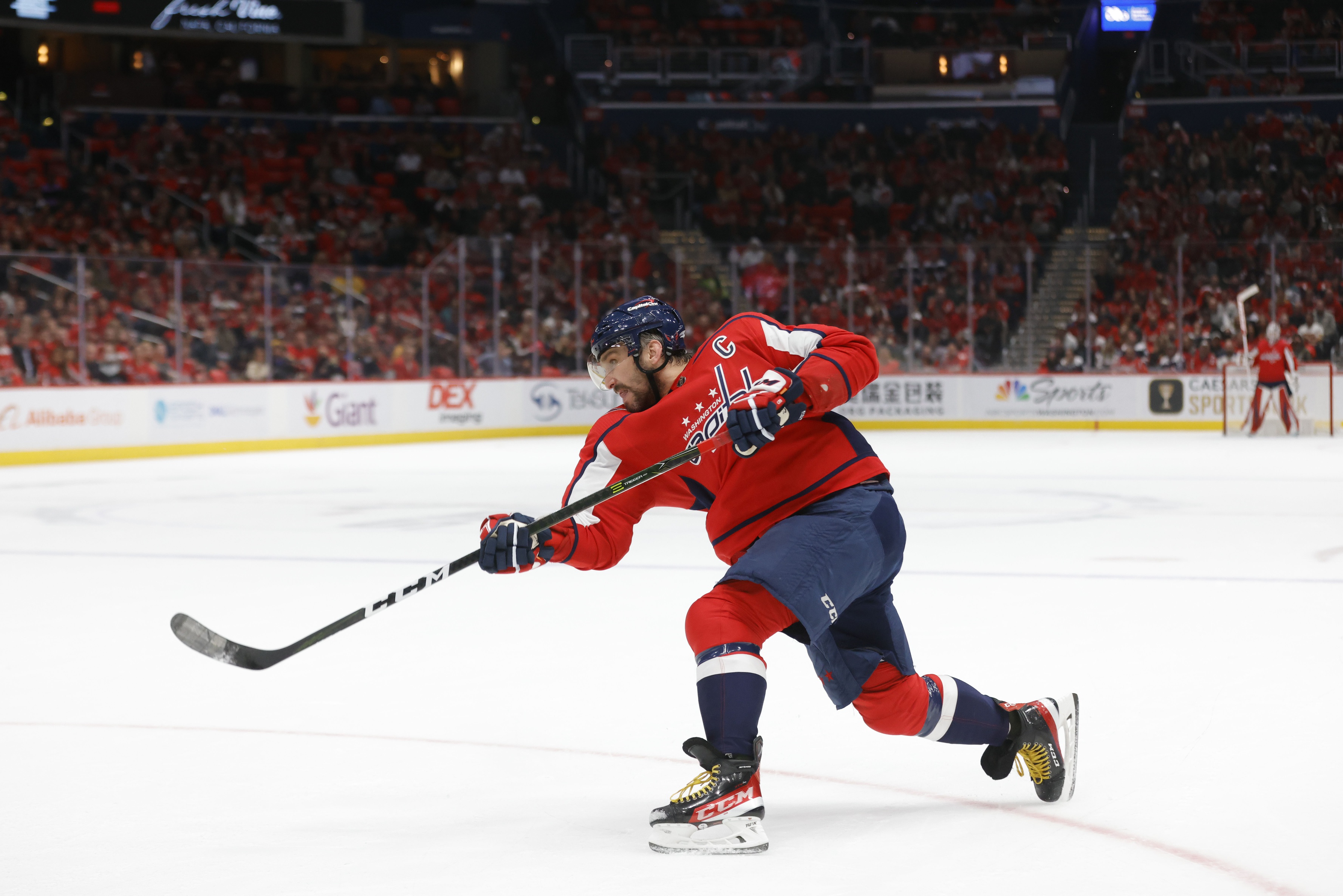 nhl picks Alex Ovechkin Washington Capitals predictions best bet odds