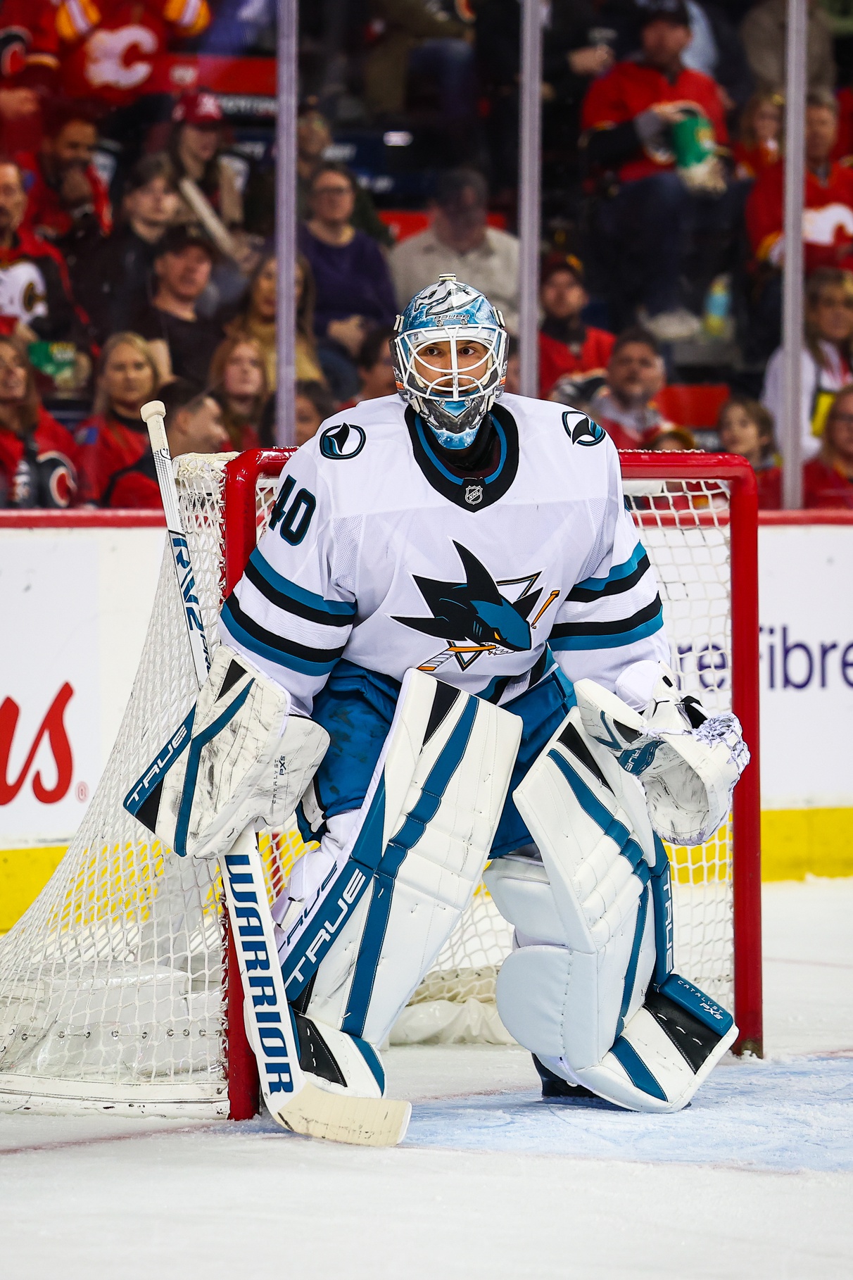 nhl picks Alexandar Georgiev San Jose Sharks nhl picks